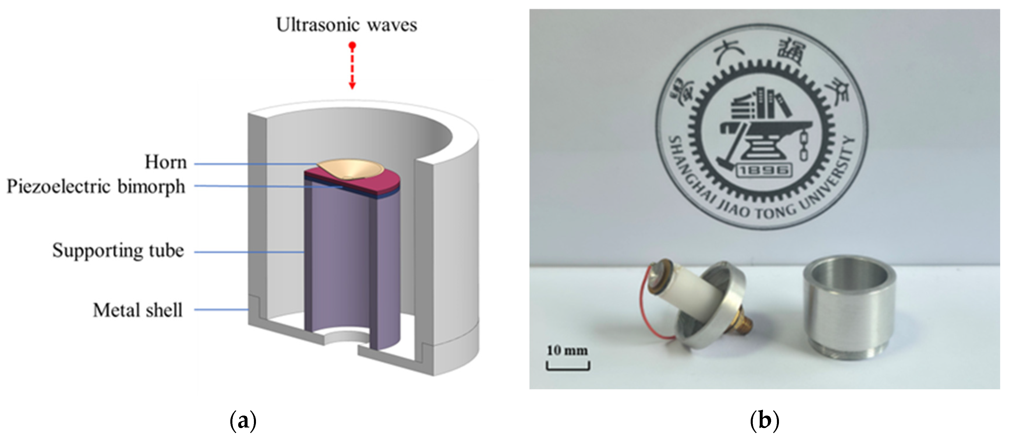 Sensors 25 06912 g002