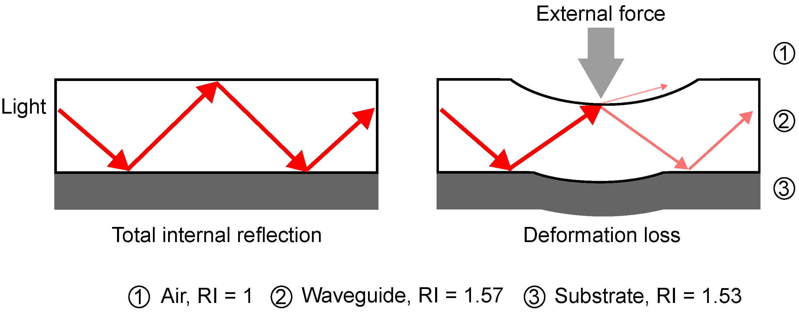 Sensors 25 06915 g001 Sensors 25 06915 g001