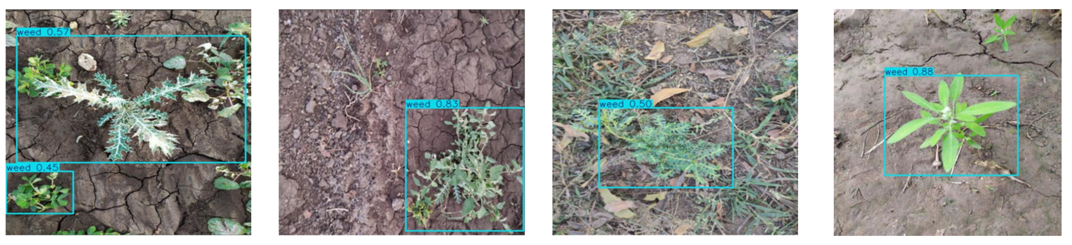 Sensors 25 06927 g008