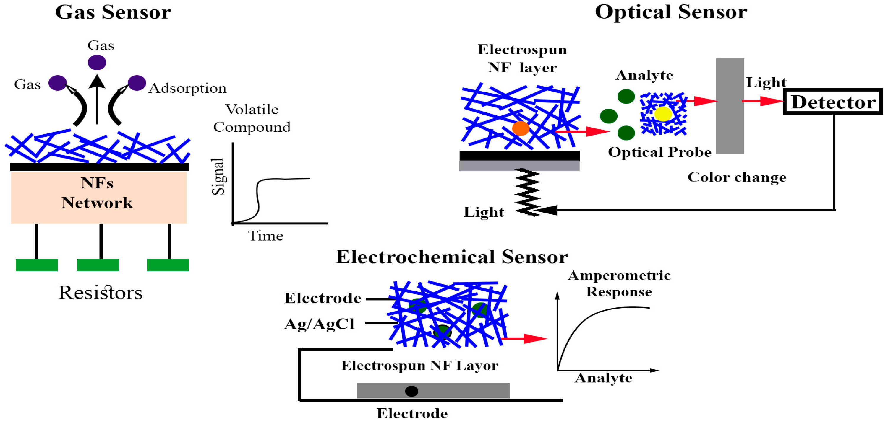 Sensors 25 06947 g001