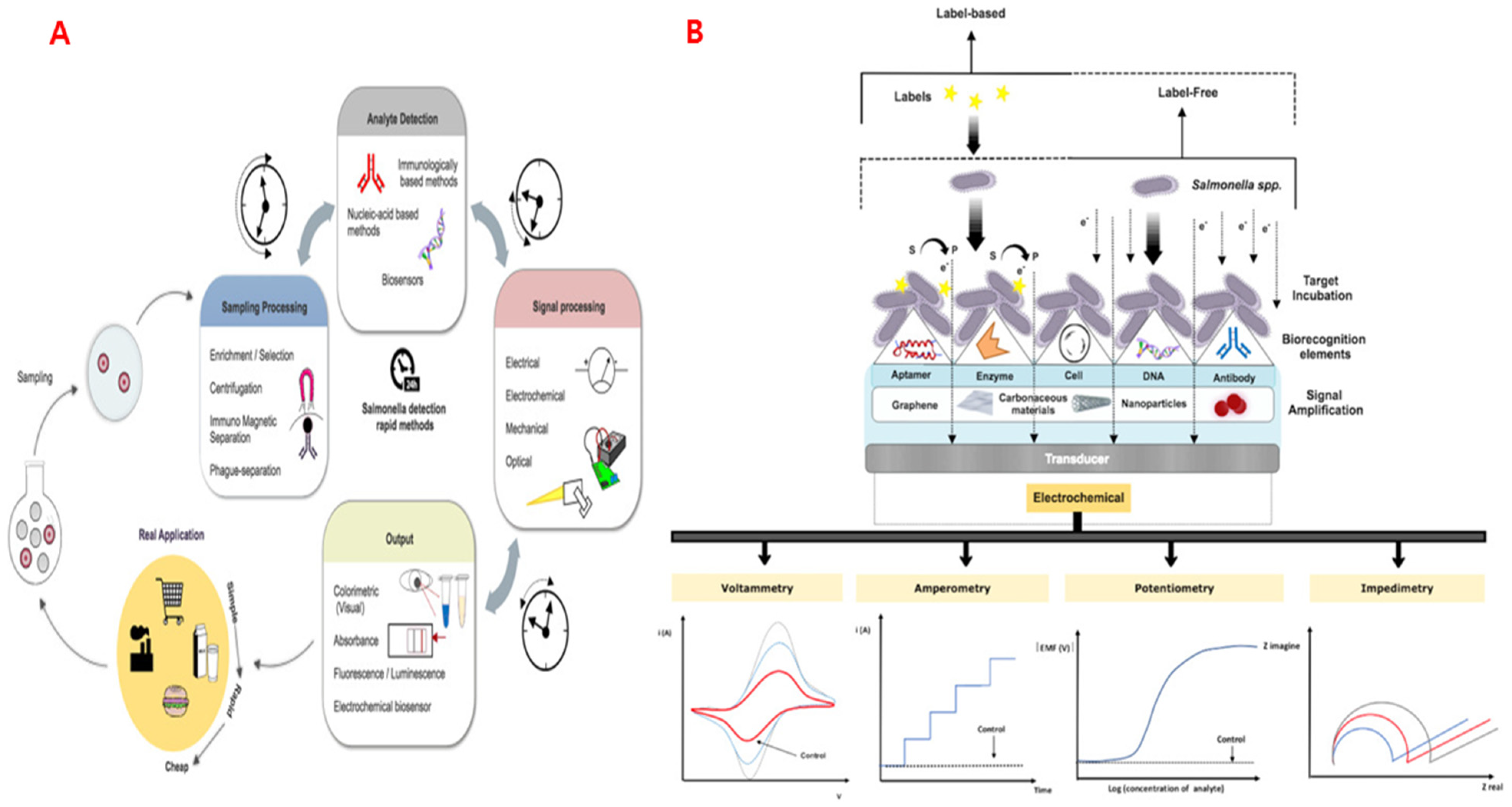 Sensors 25 06947 g004