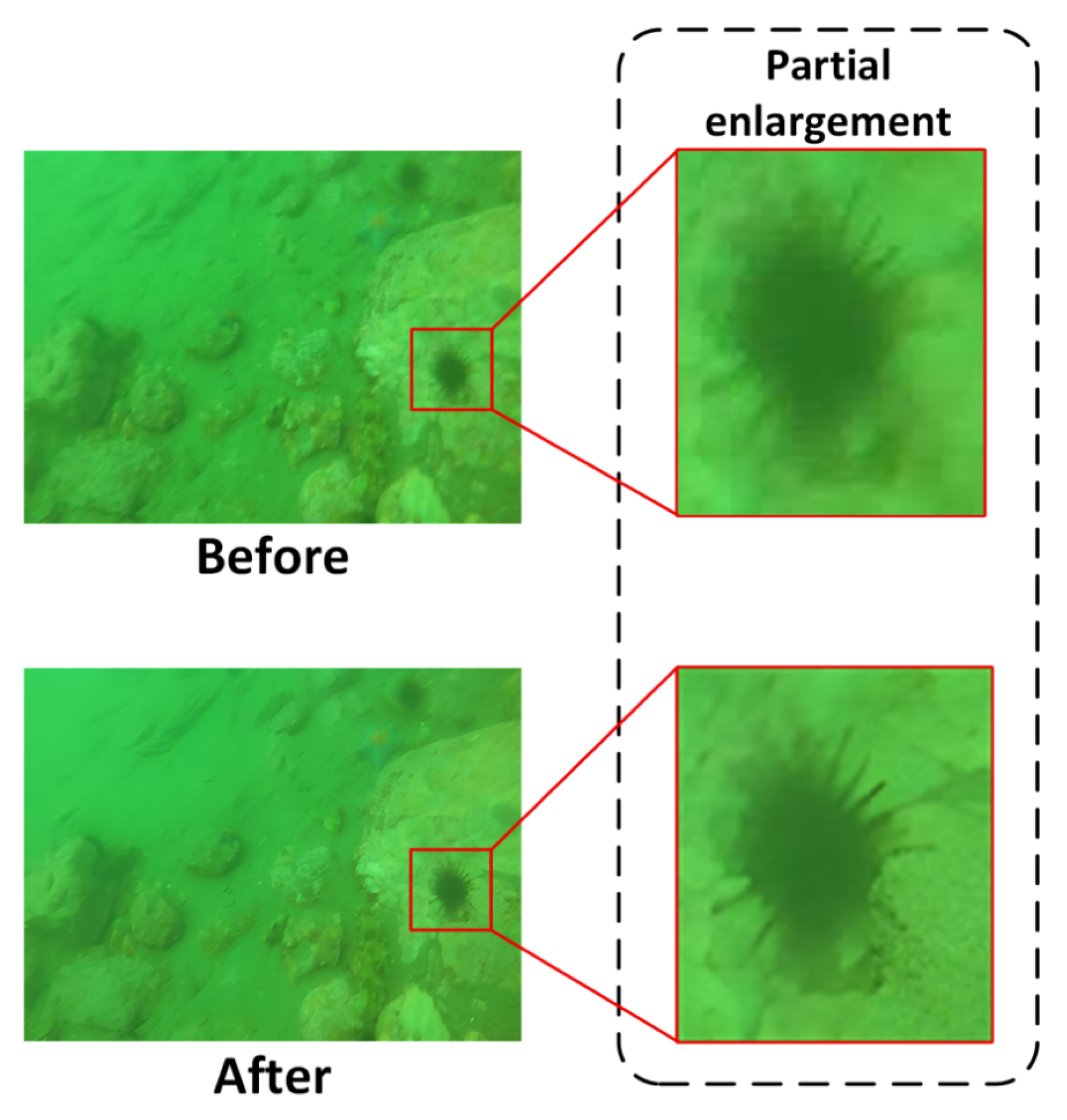 Sensors 25 06948 g008