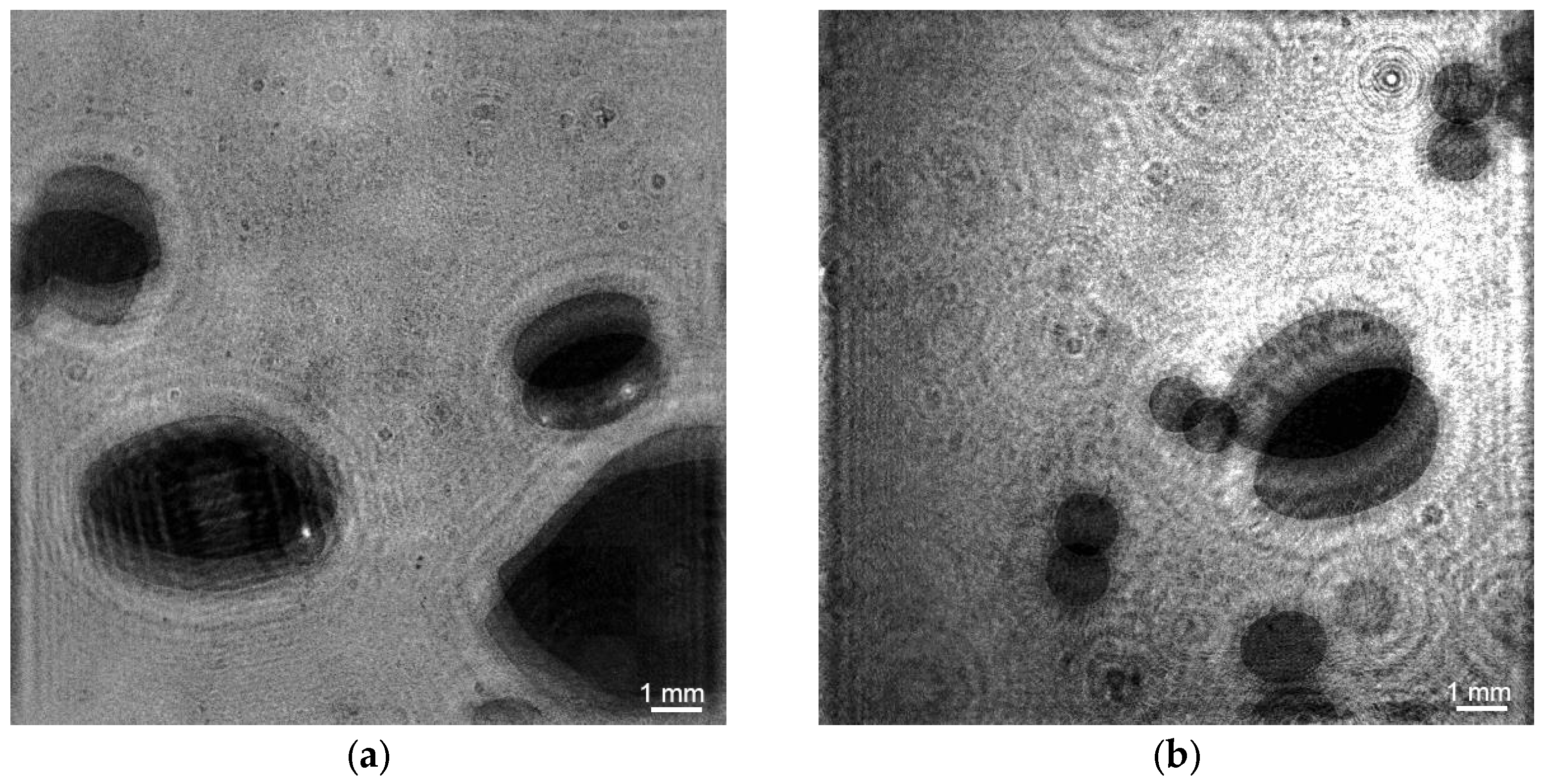 Sensors 25 06969 g010 Sensors 25 06969 g010