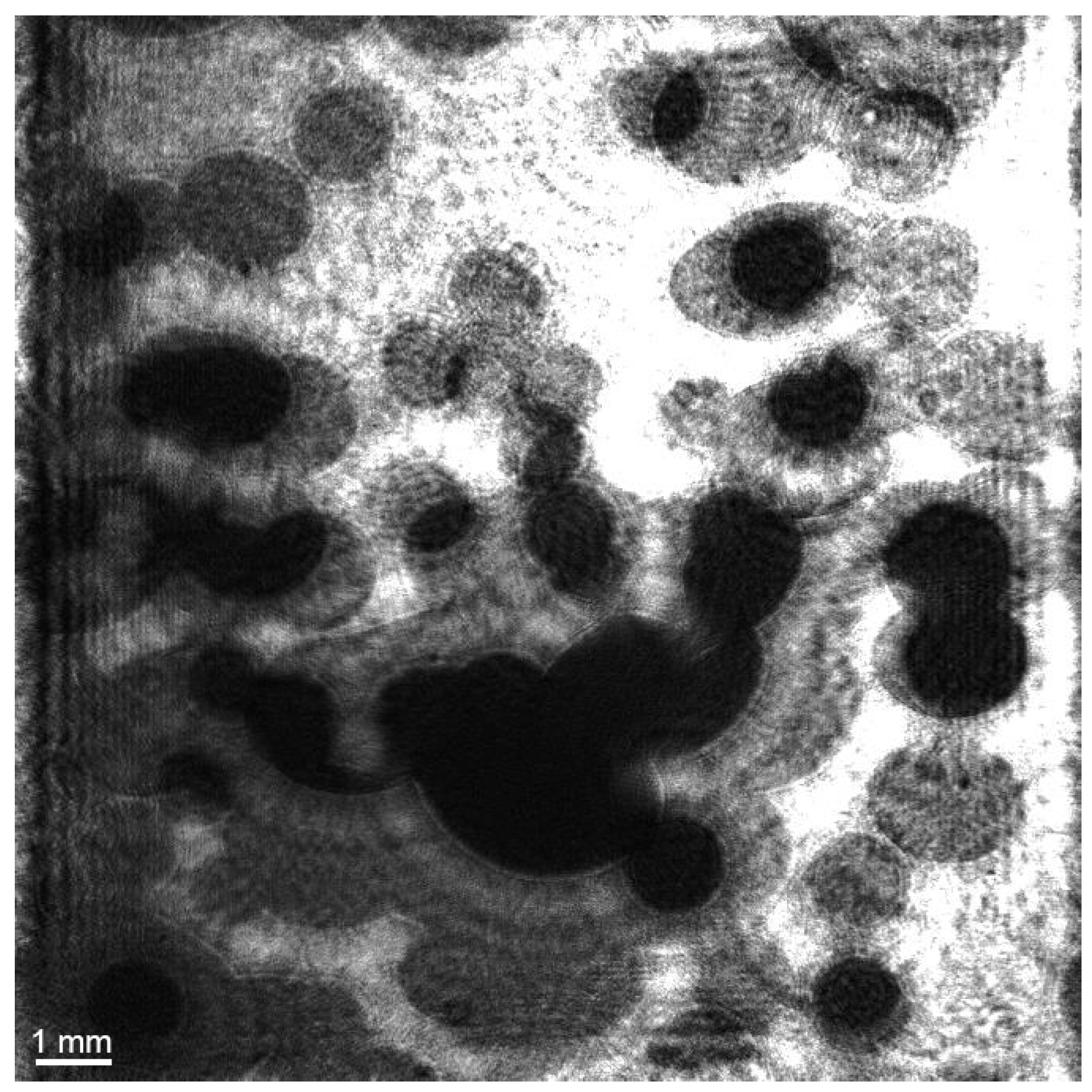 Sensors 25 06969 g014 Sensors 25 06969 g014