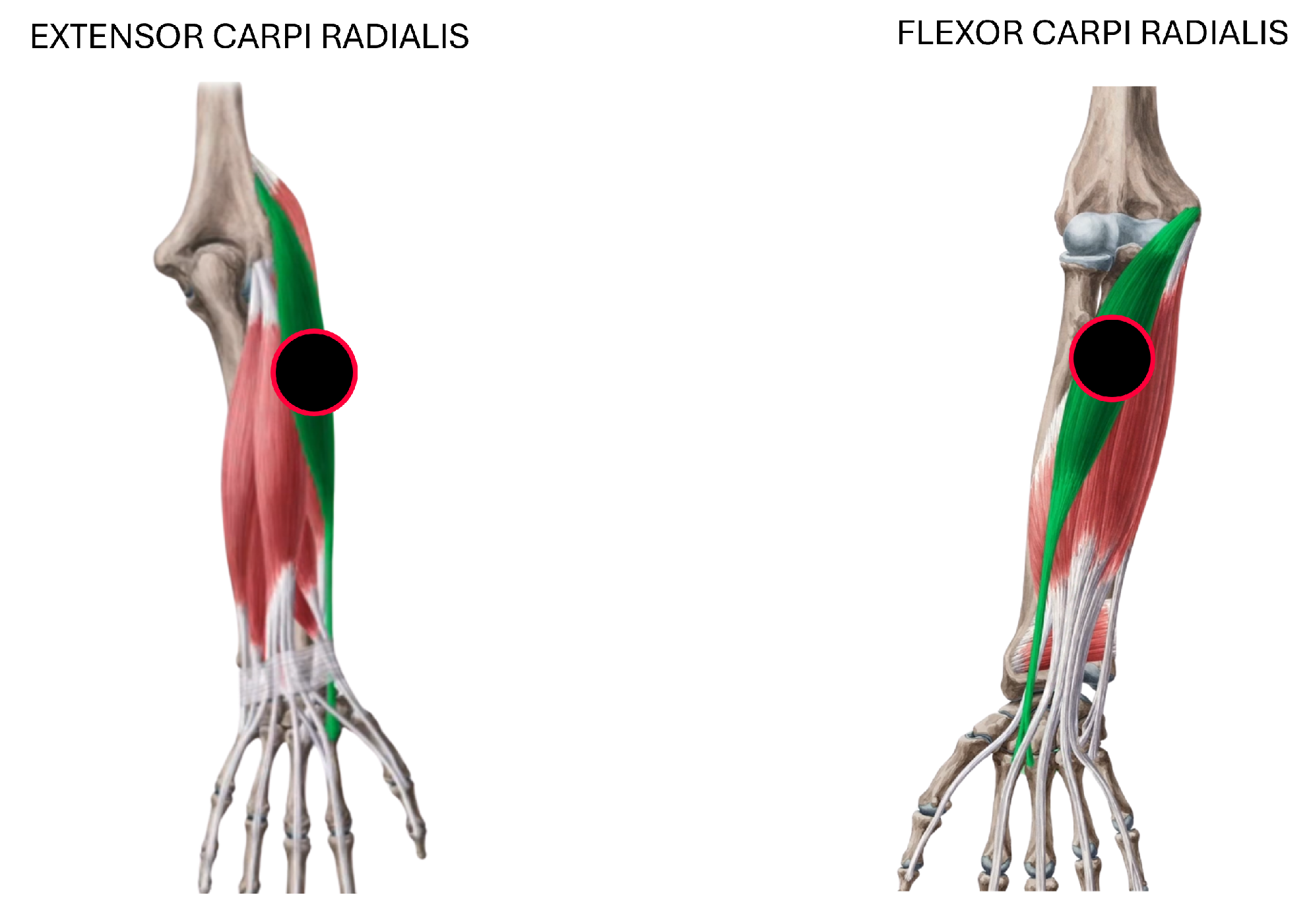 Sensors 25 06980 g003