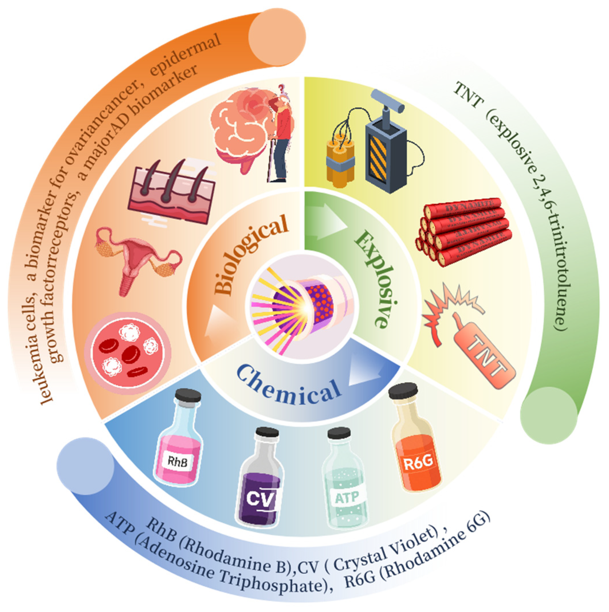 Sensors 25 06982 g002