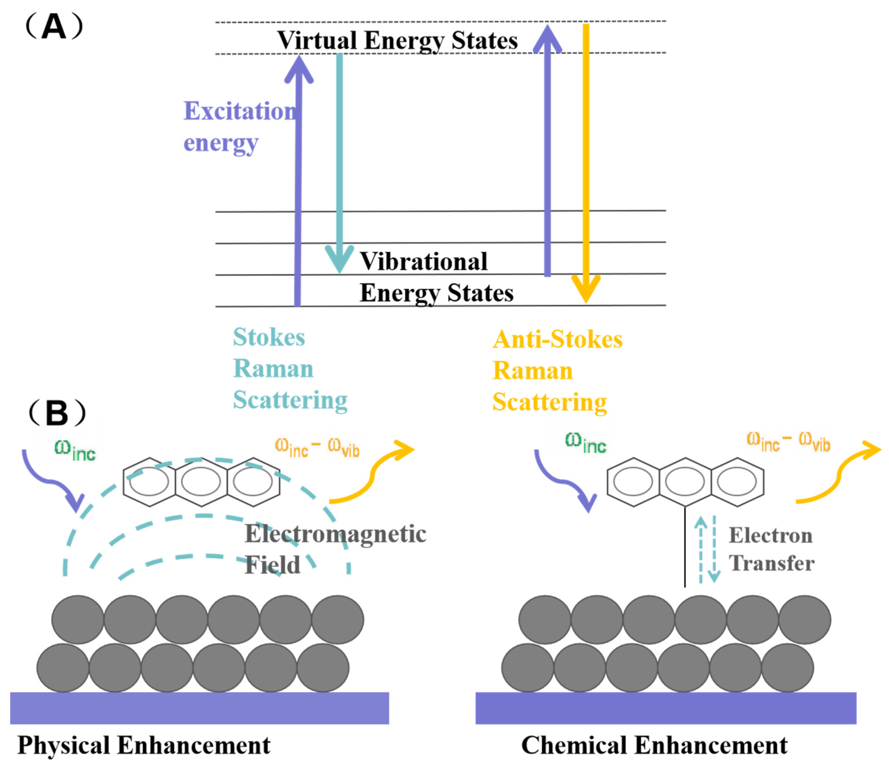 Sensors 25 06982 g003