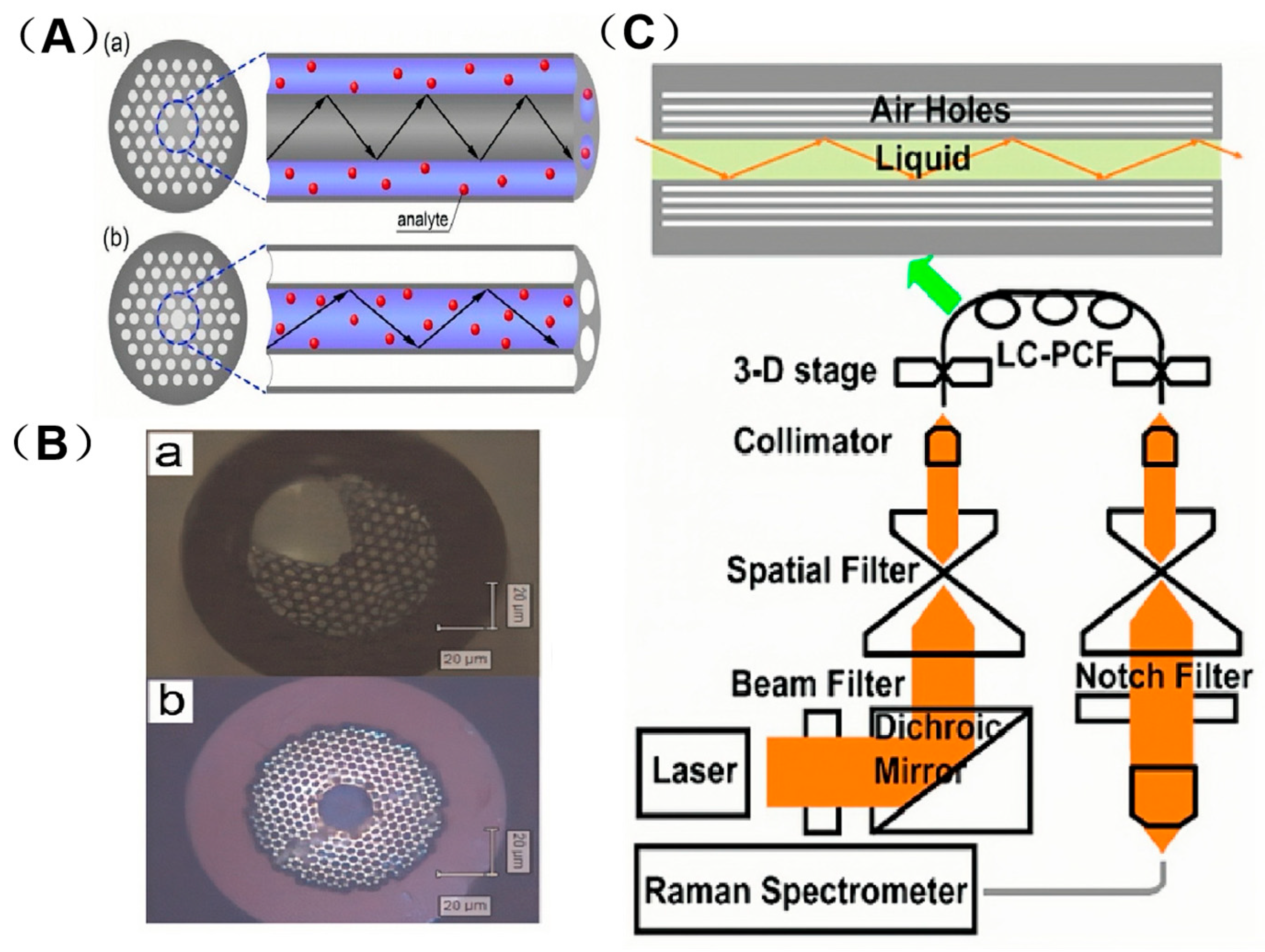 Sensors 25 06982 g004