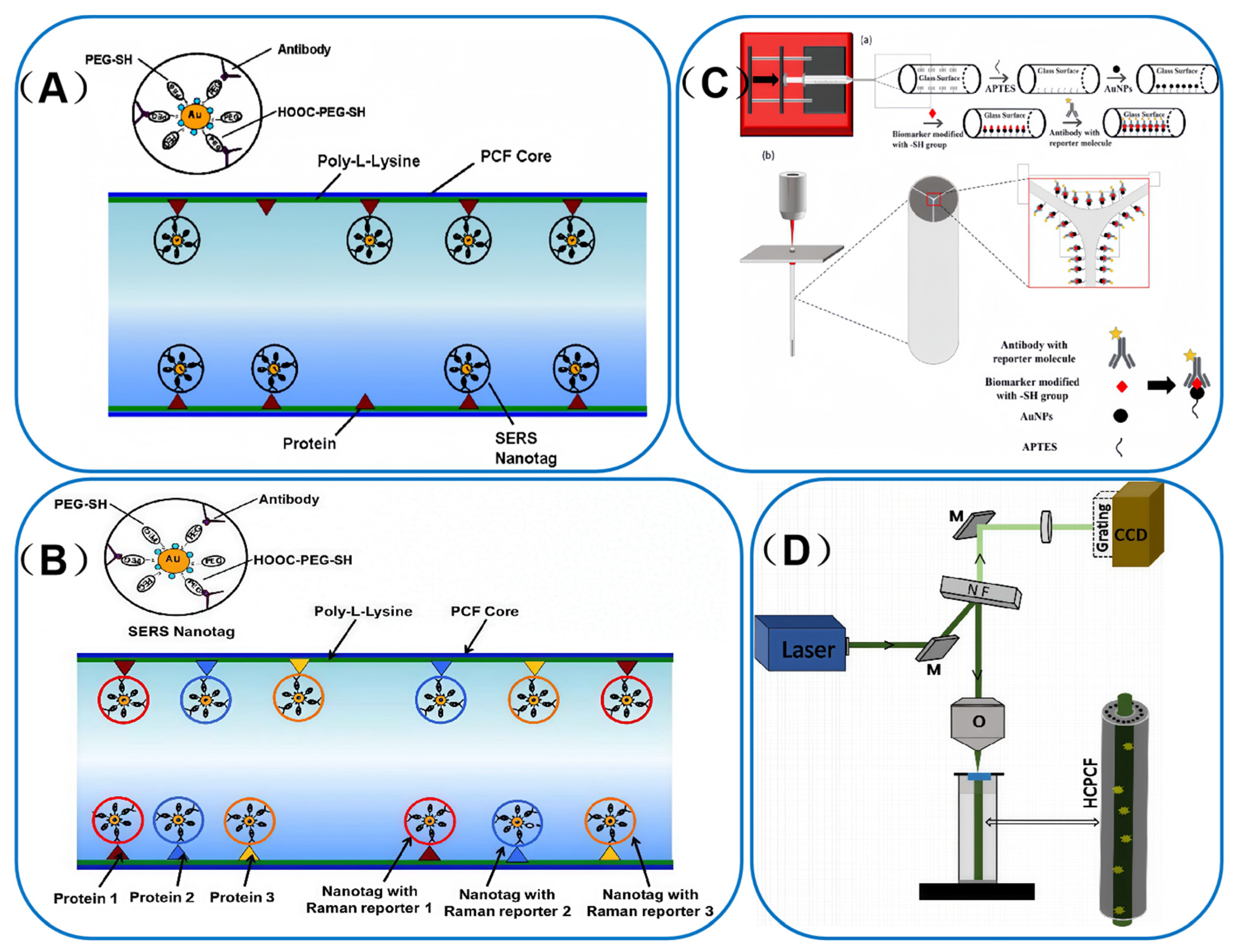 Sensors 25 06982 g007