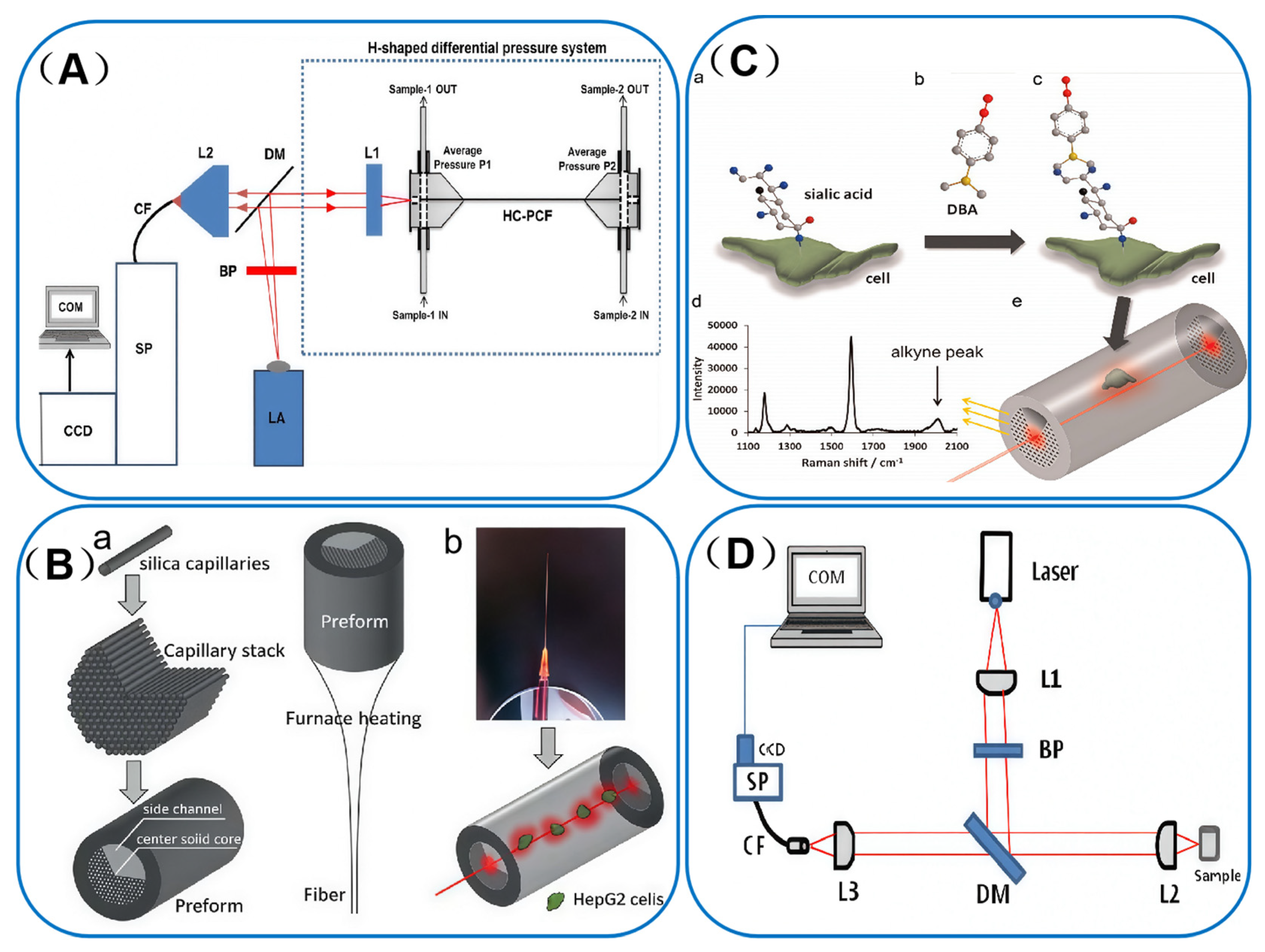 Sensors 25 06982 g008