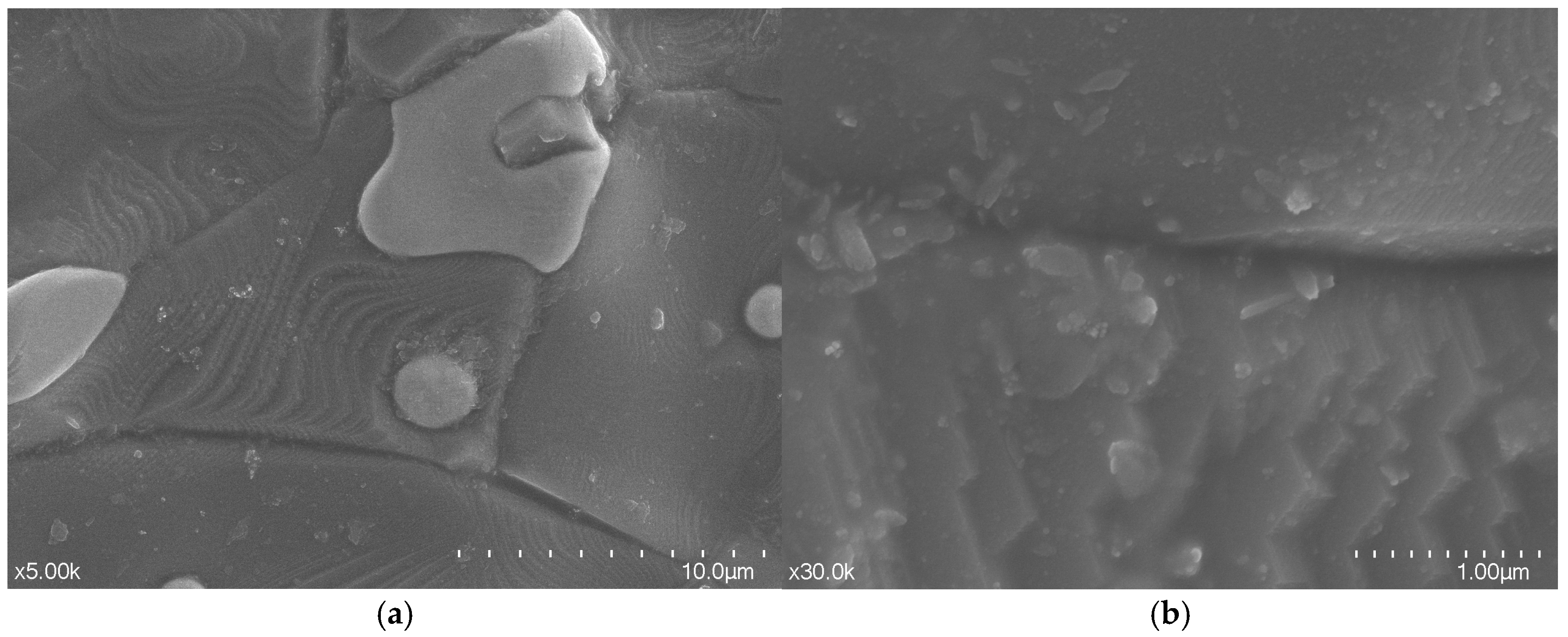 Sensors 25 06989 g004 Sensors 25 06989 g004