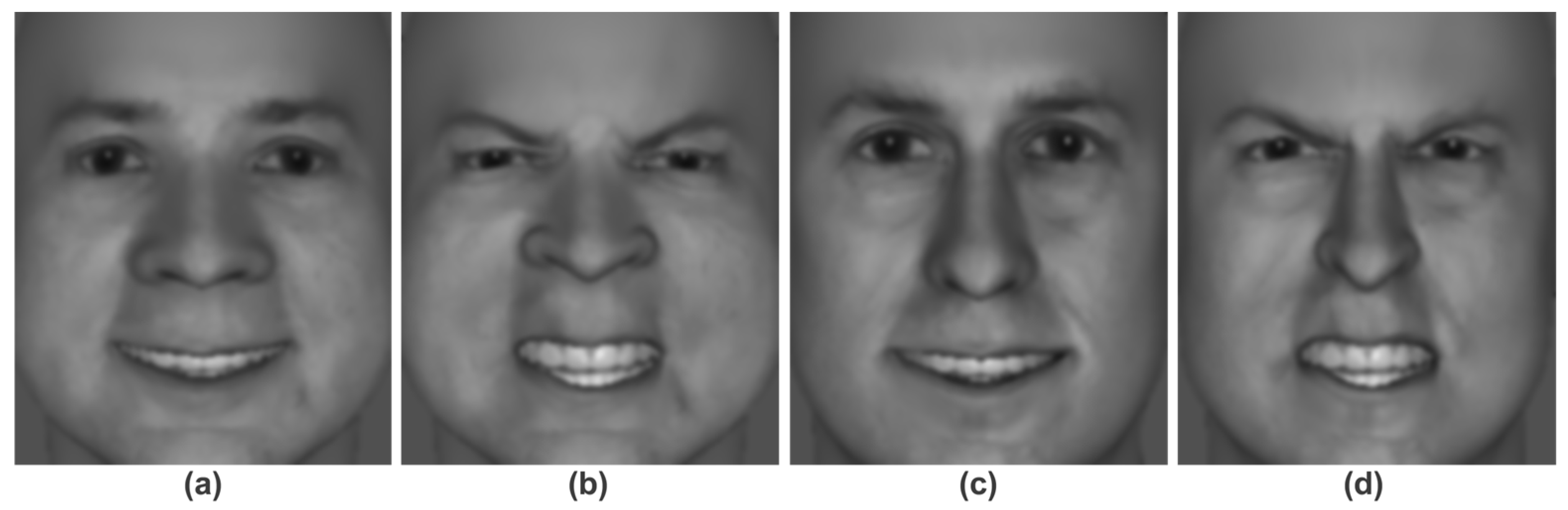 Sensors 25 06990 g001