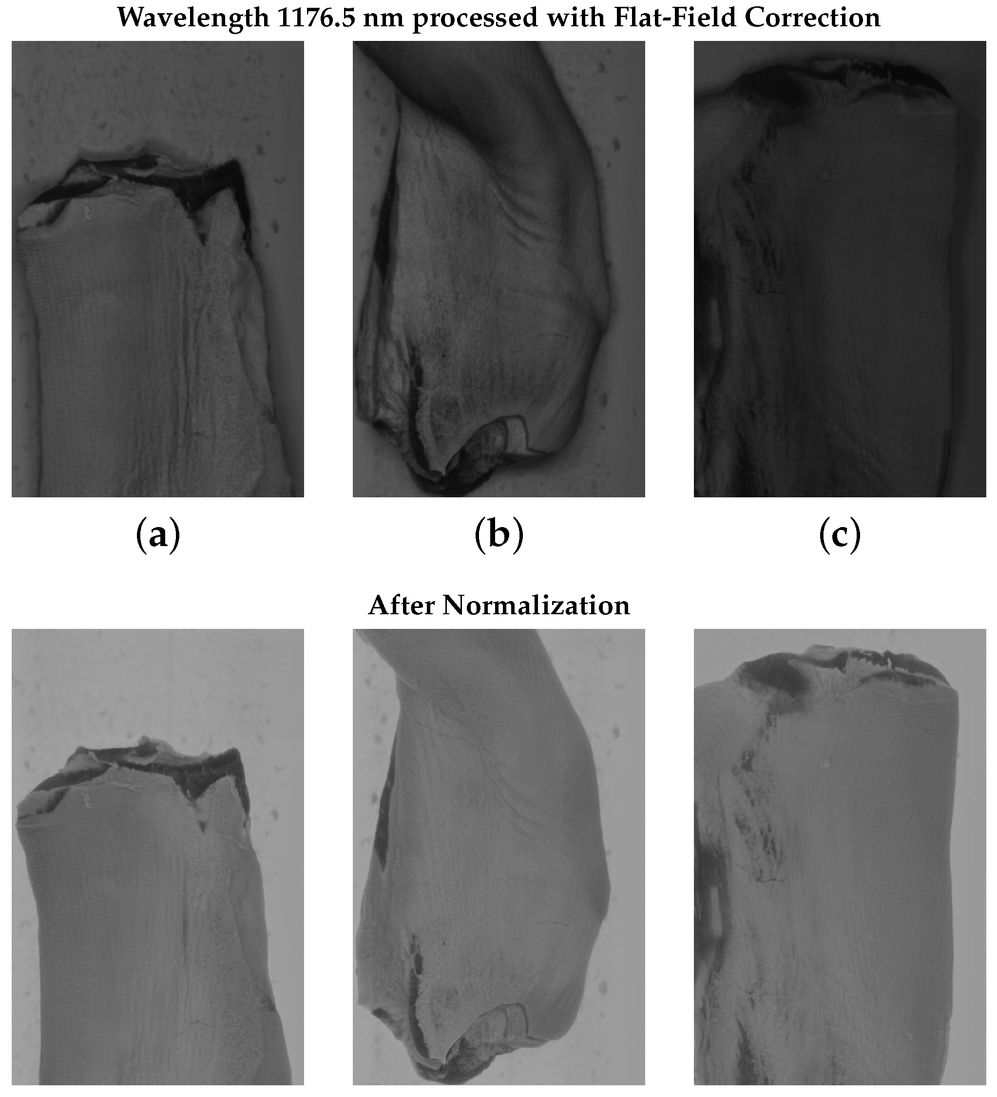 Sensors 25 07015 g008