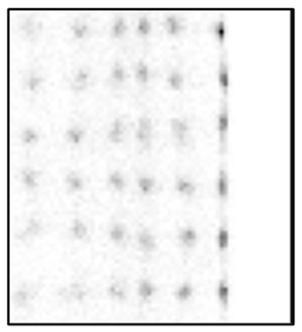 Sensors 25 07062 g012