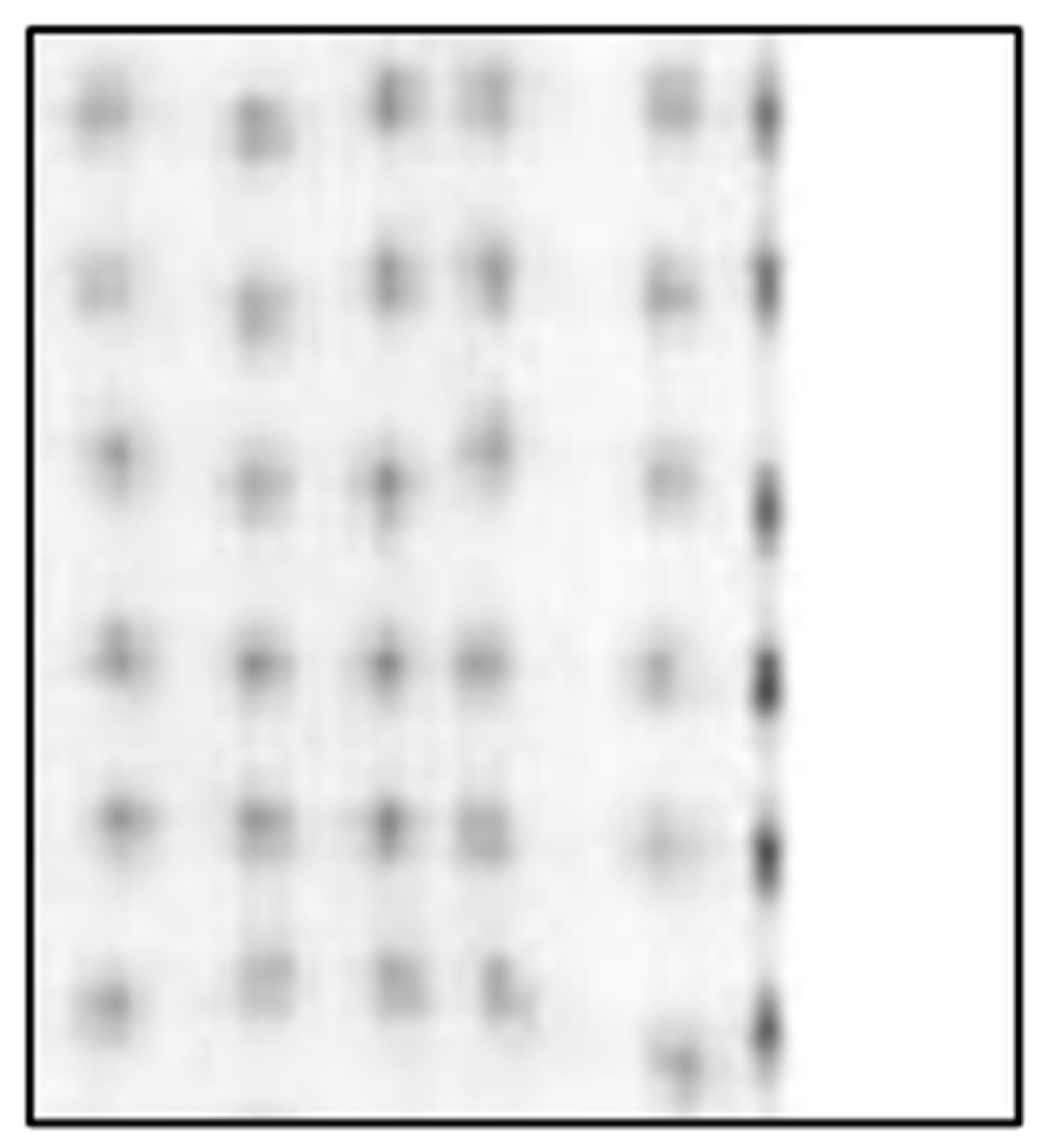 Sensors 25 07062 g013