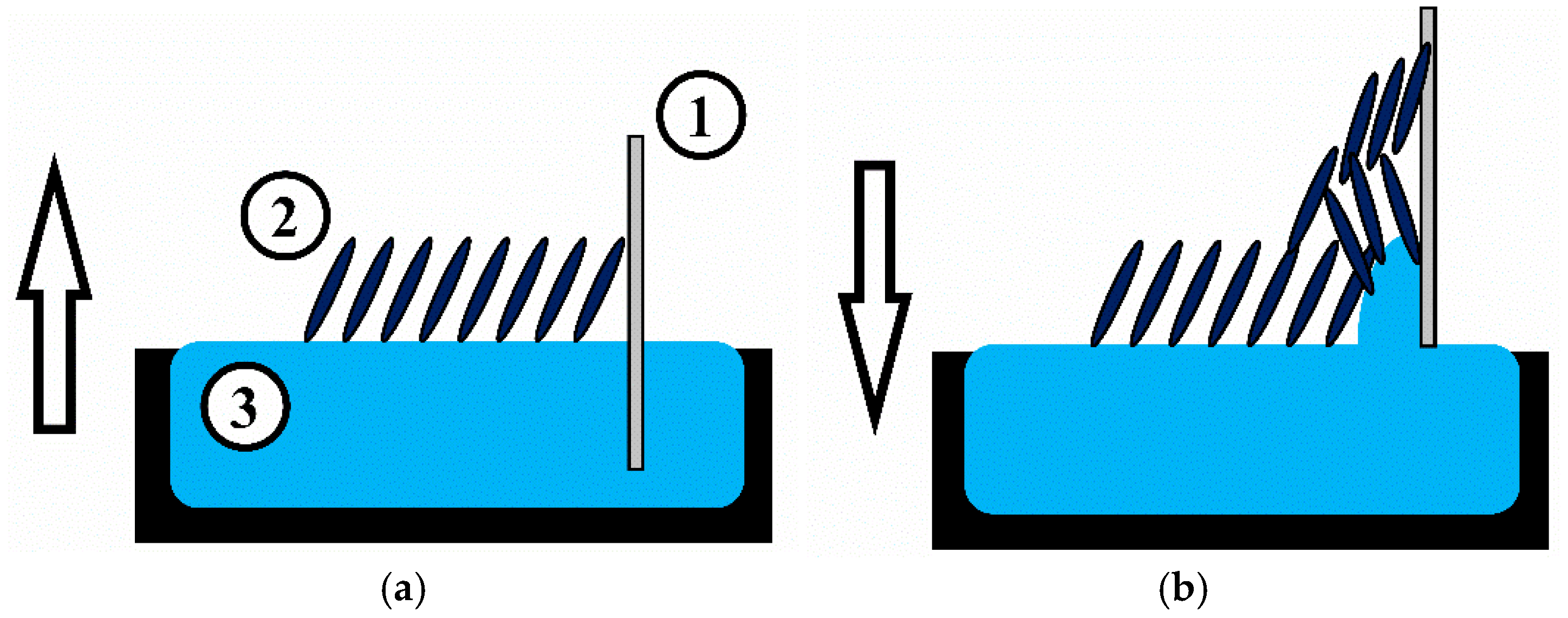 Sensors 25 07069 g001