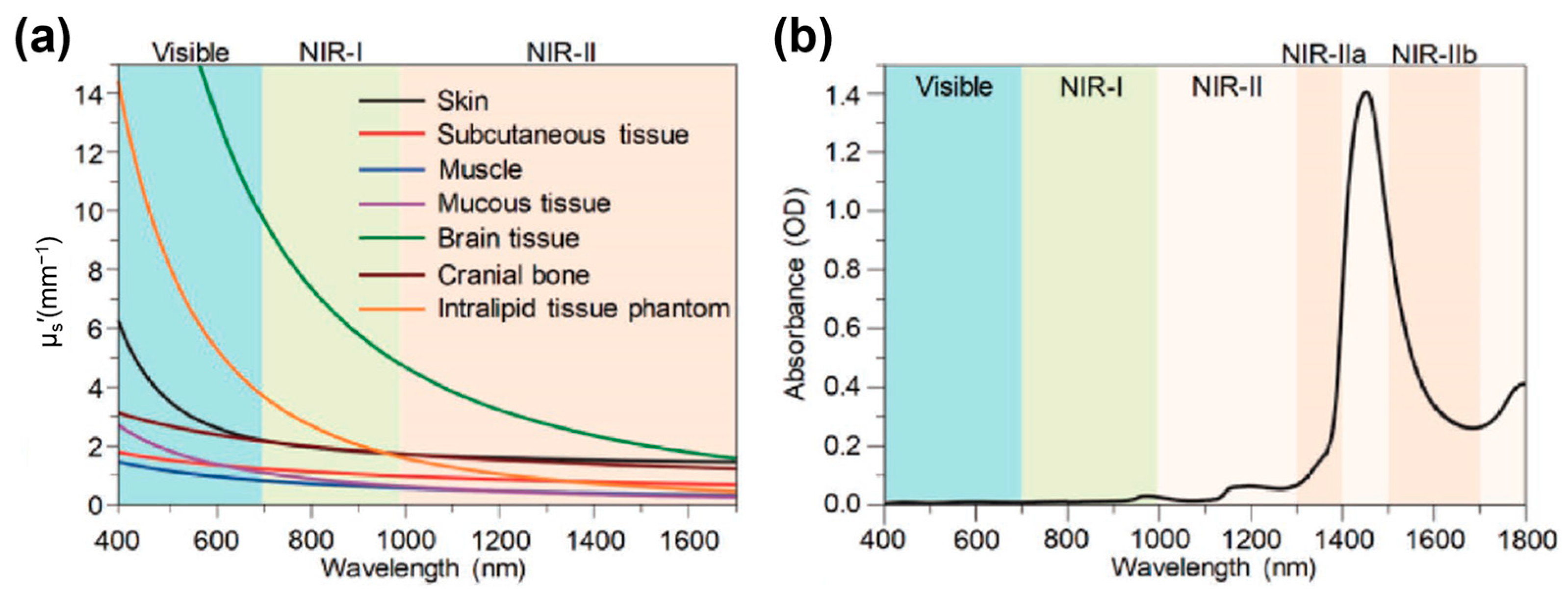 Sensors 25 07080 g001