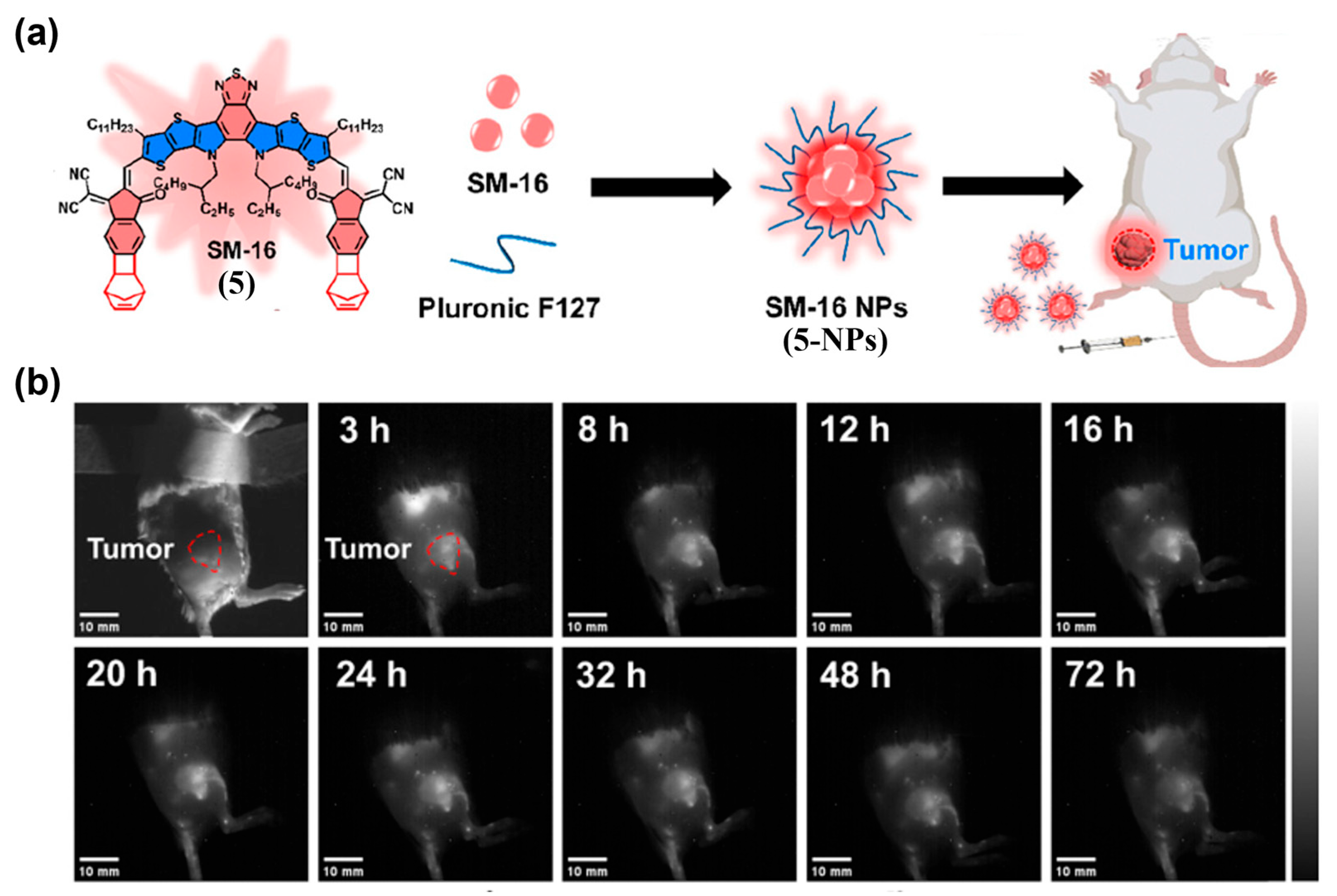 Sensors 25 07080 g011