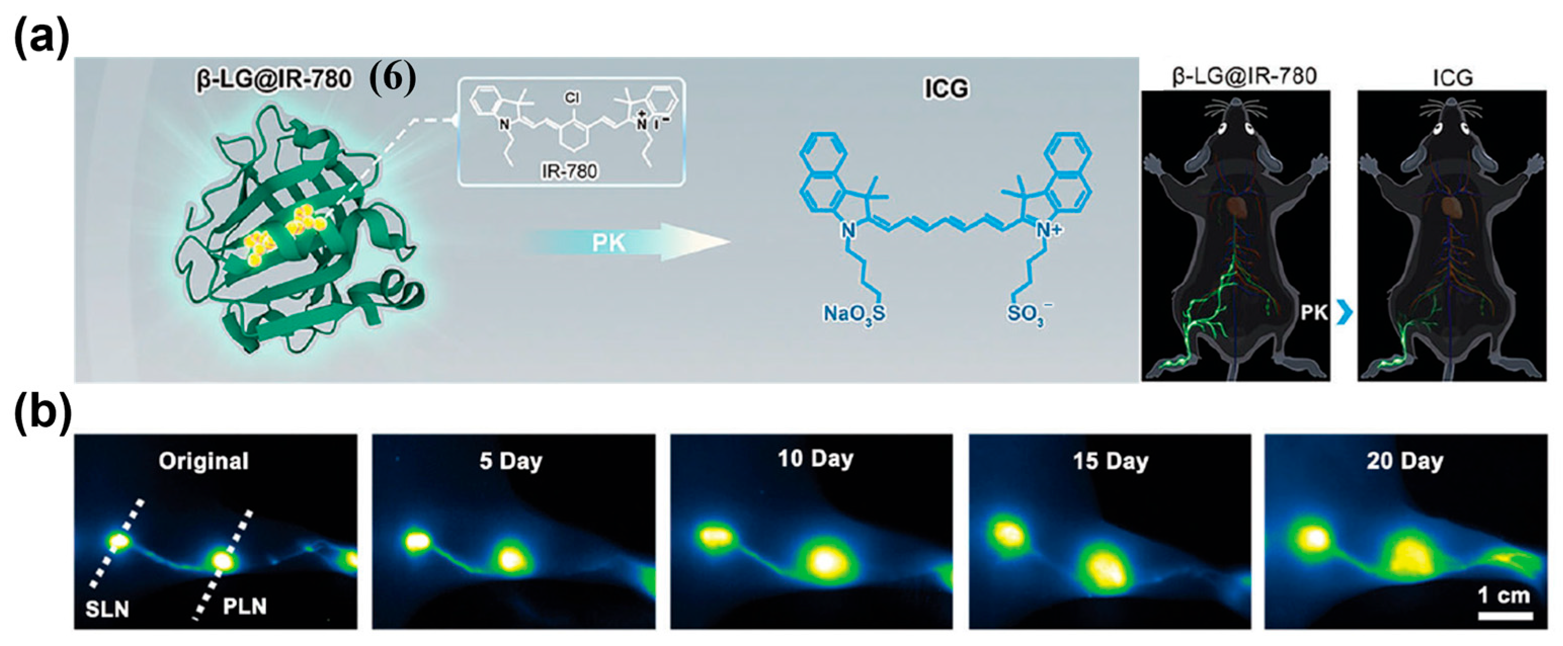 Sensors 25 07080 g012