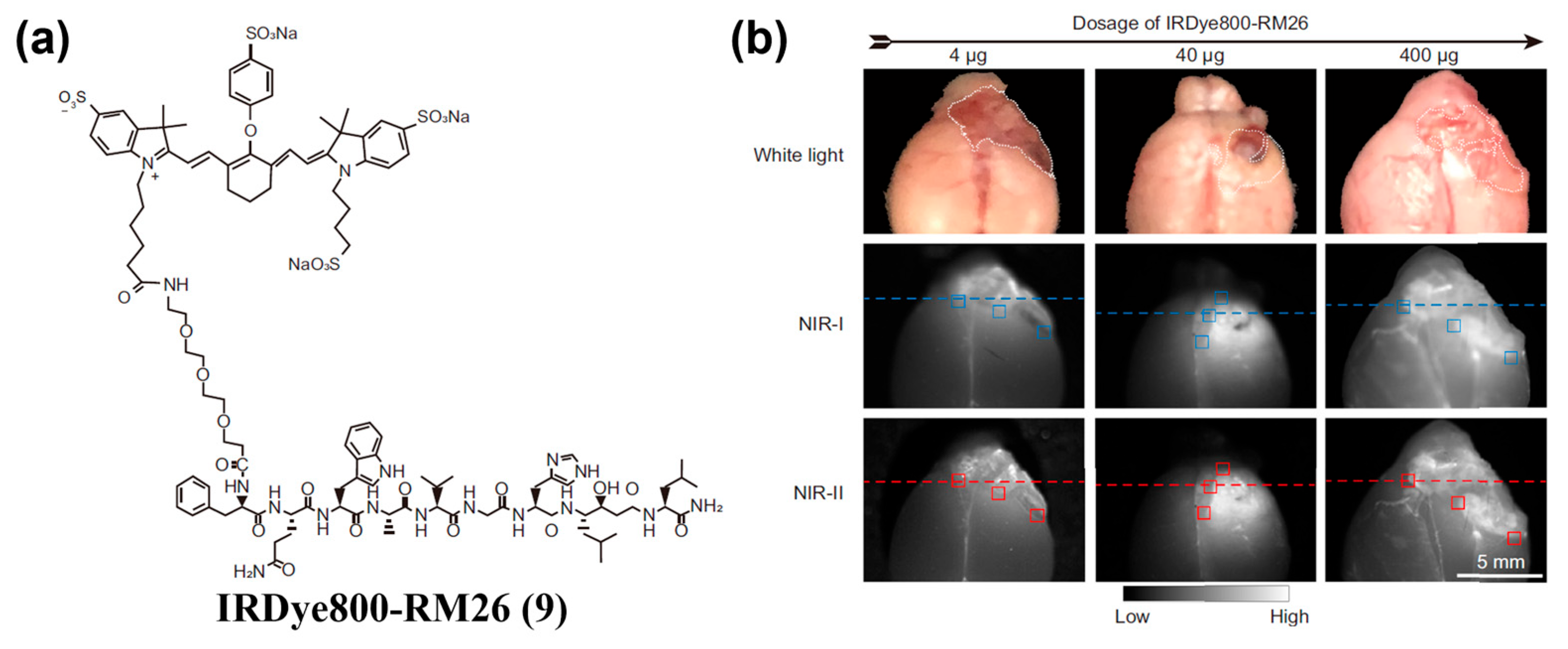 Sensors 25 07080 g015