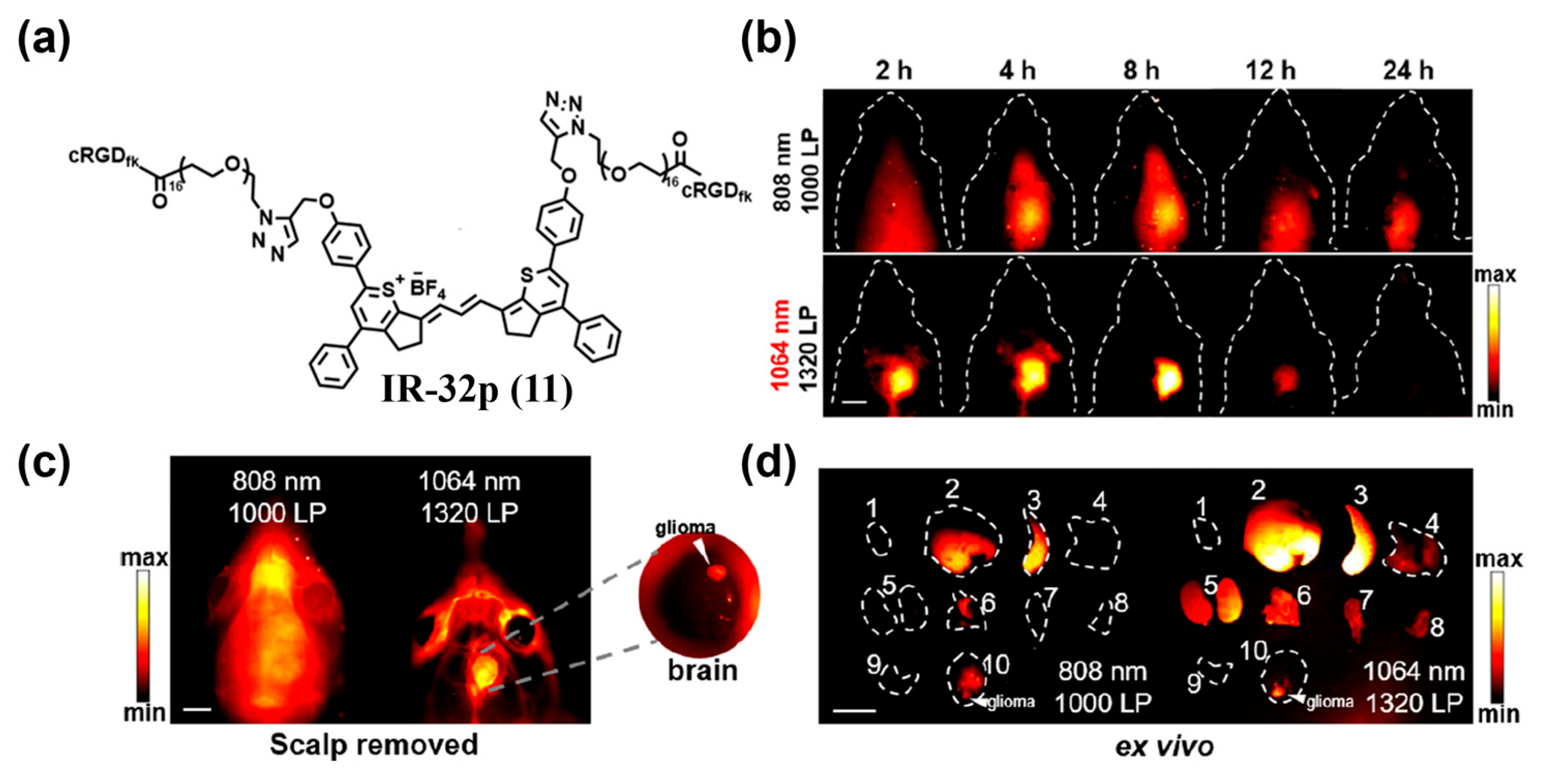 Sensors 25 07080 g017