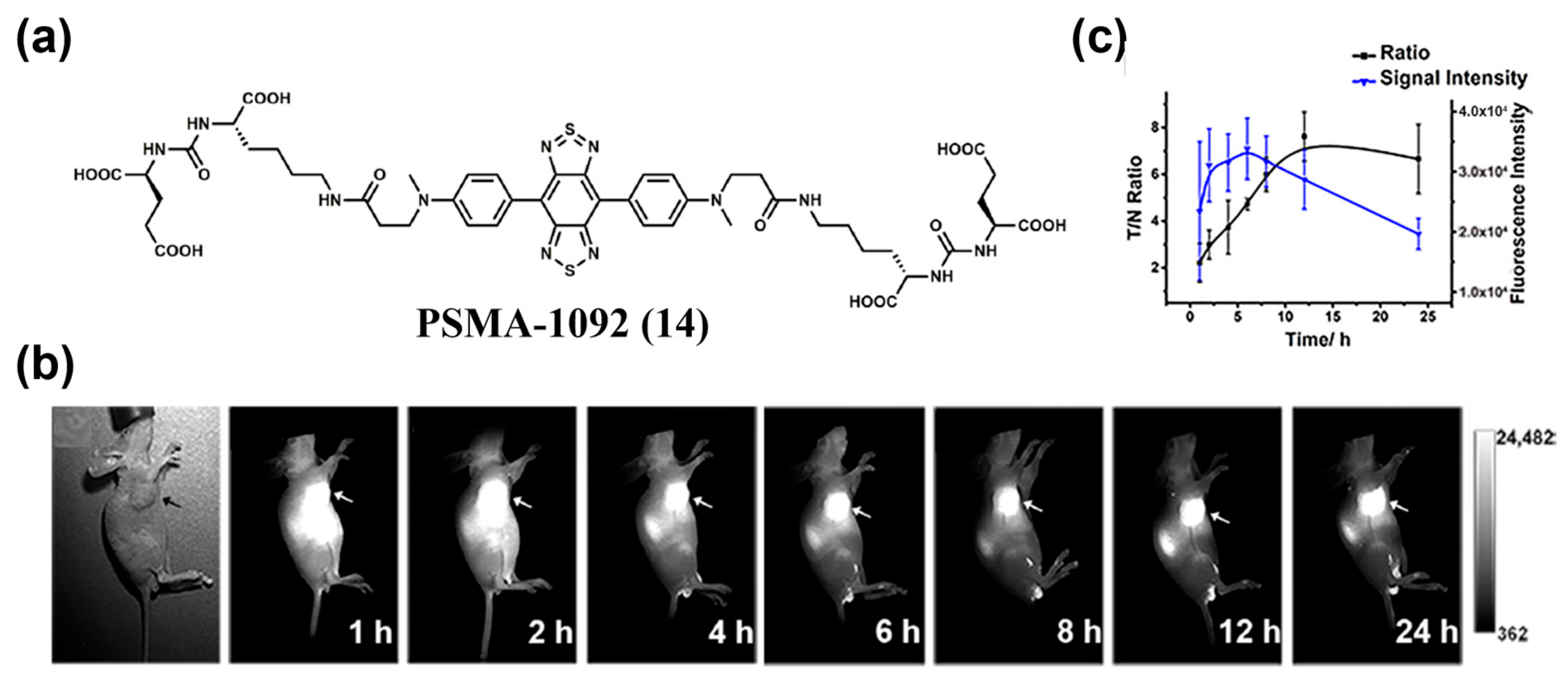 Sensors 25 07080 g020