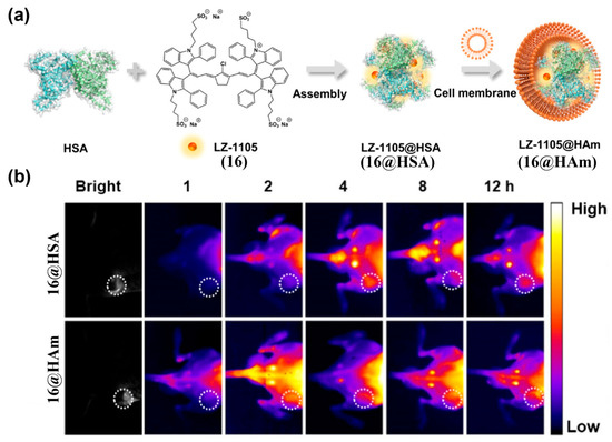 Near-Infrared-II Fluorescence Imaging of Tumors with Organic Small