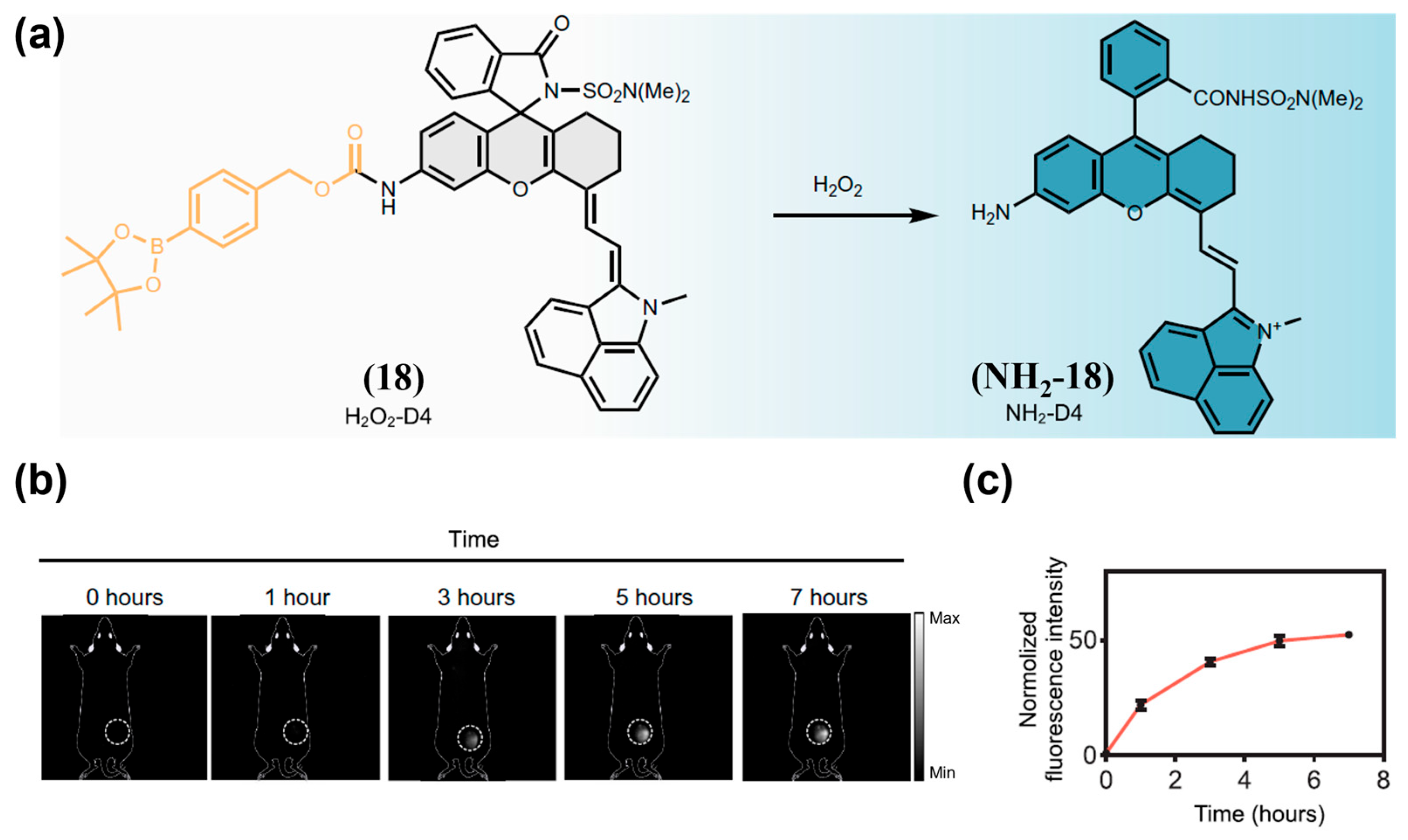 Sensors 25 07080 g025