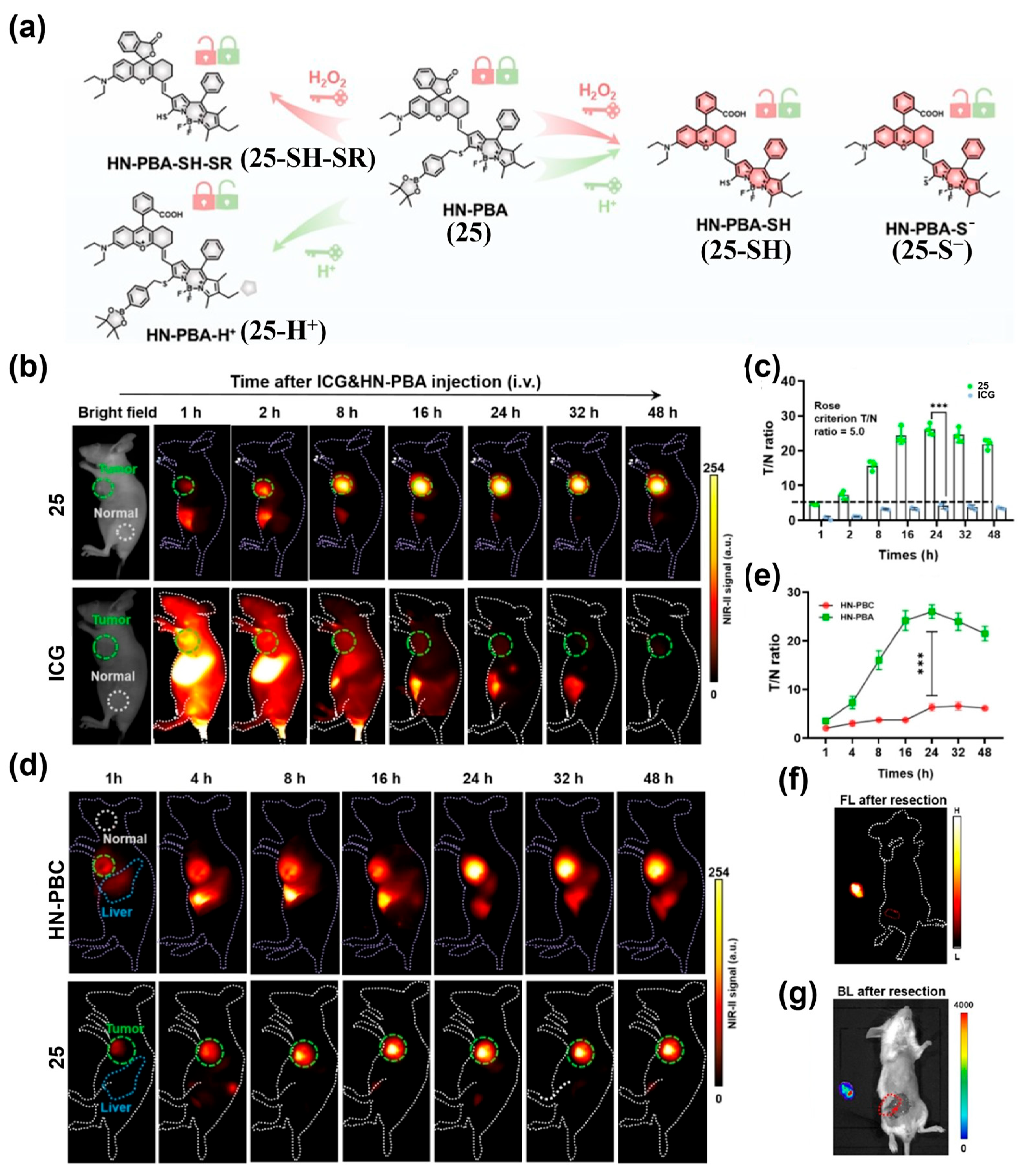Sensors 25 07080 g032