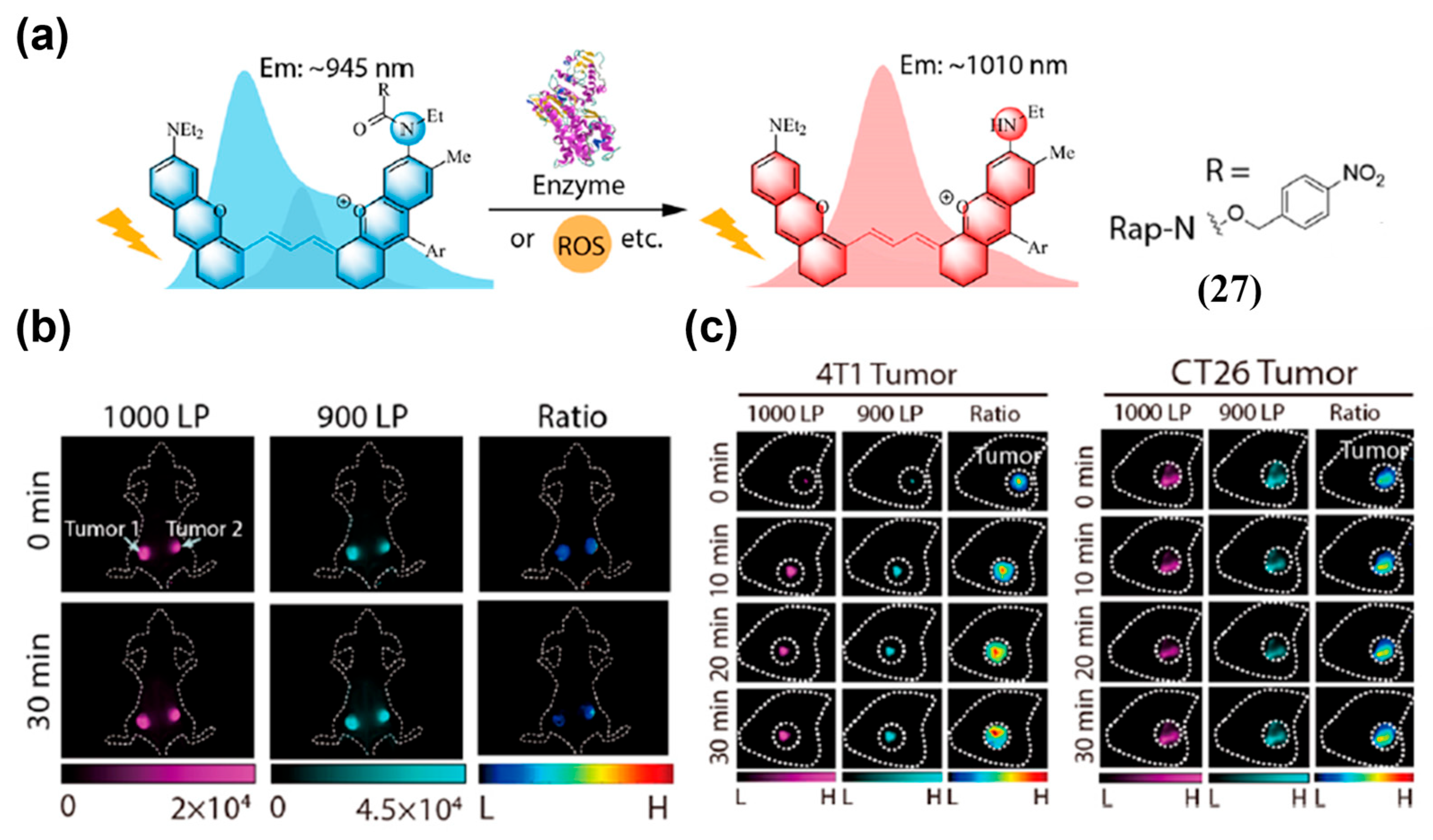 Sensors 25 07080 g034