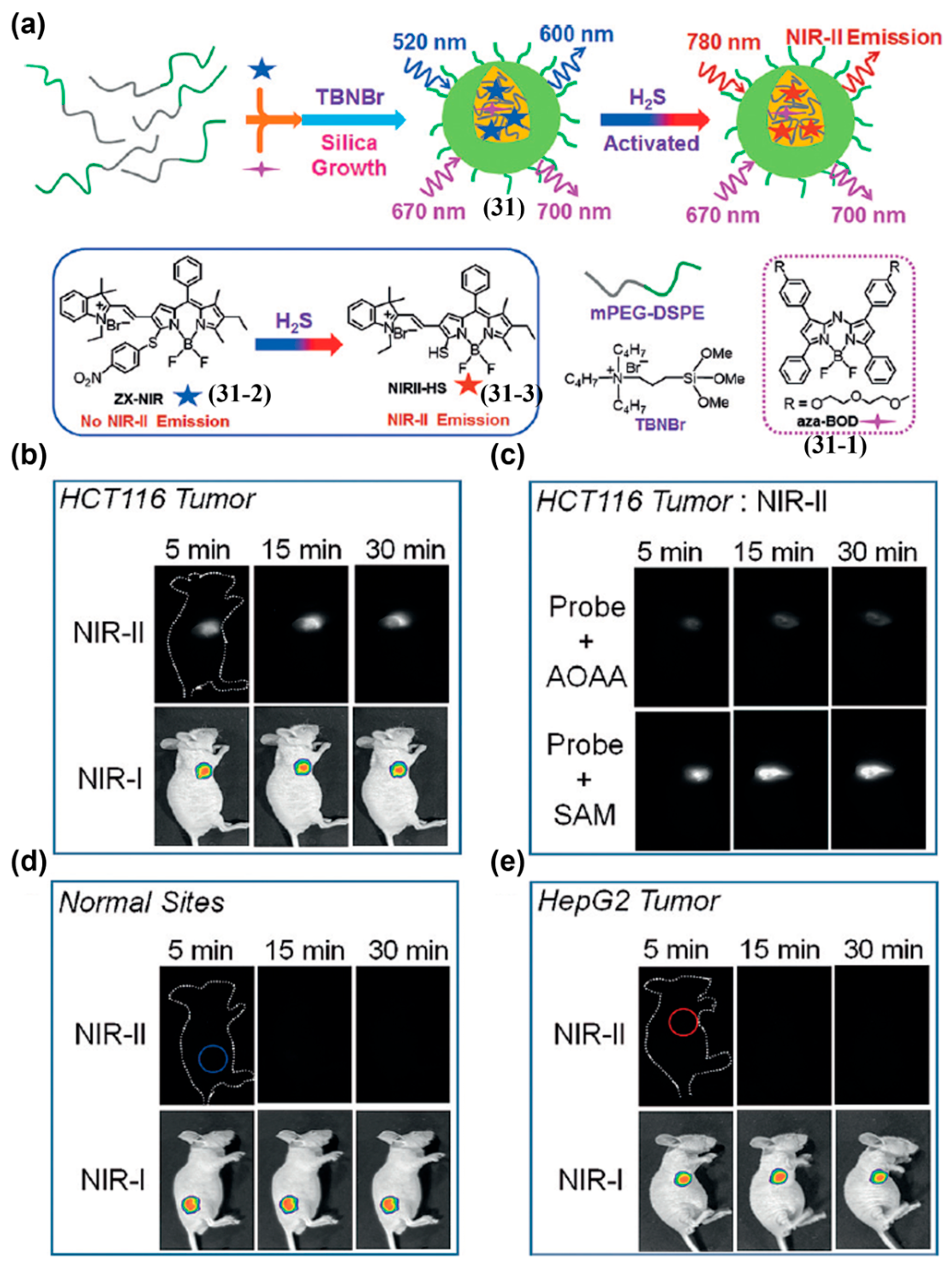 Sensors 25 07080 g038