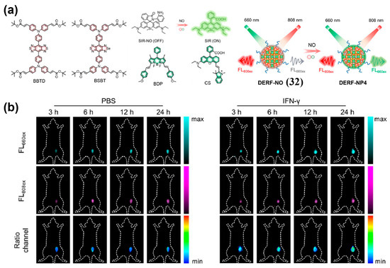 Near-Infrared-II Fluorescence Imaging of Tumors with Organic Small