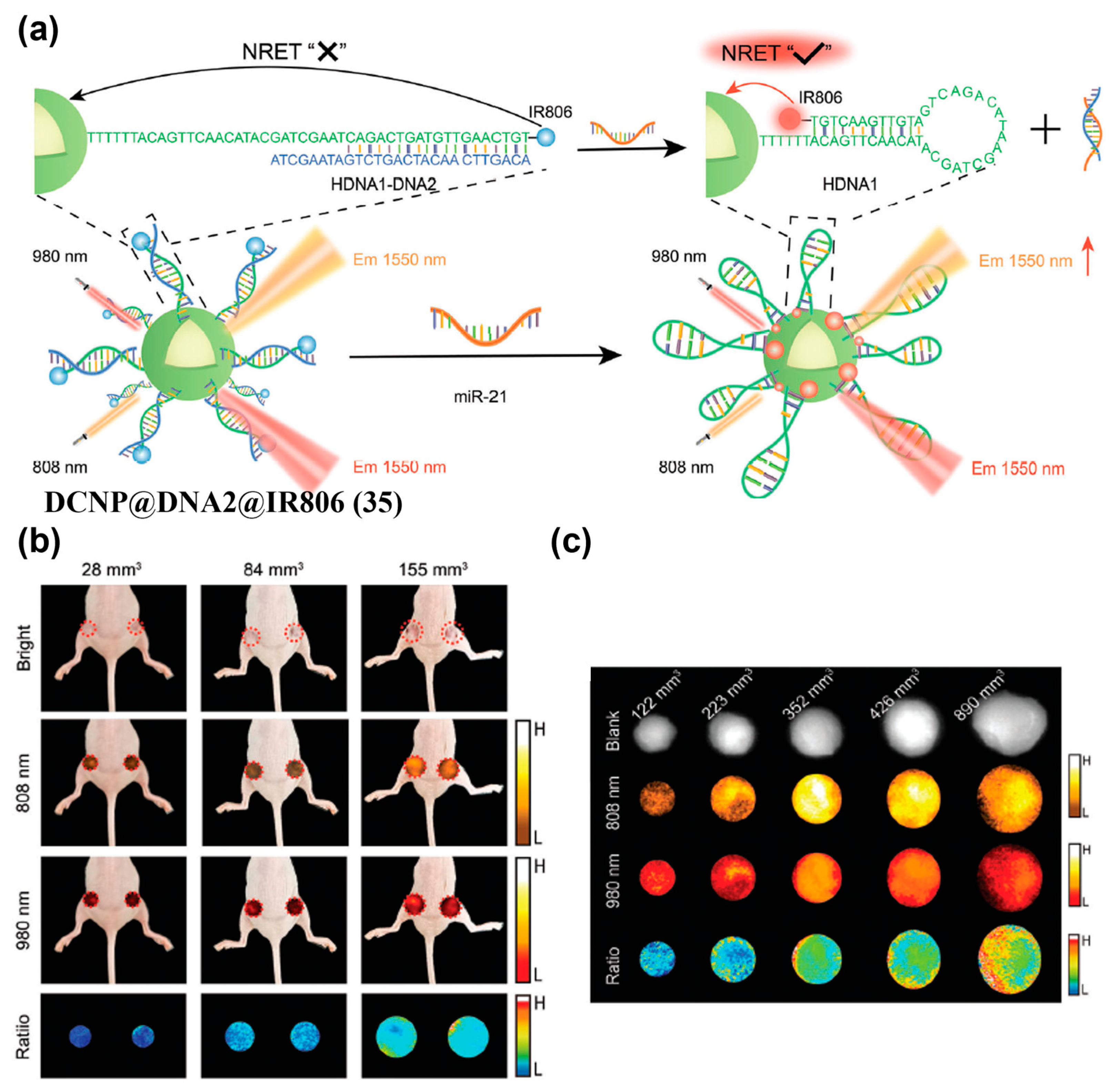 Sensors 25 07080 g042