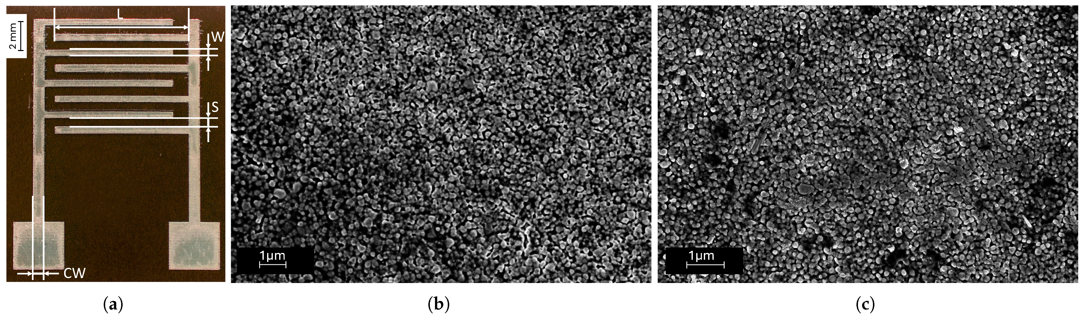 Sensors 25 07081 g001