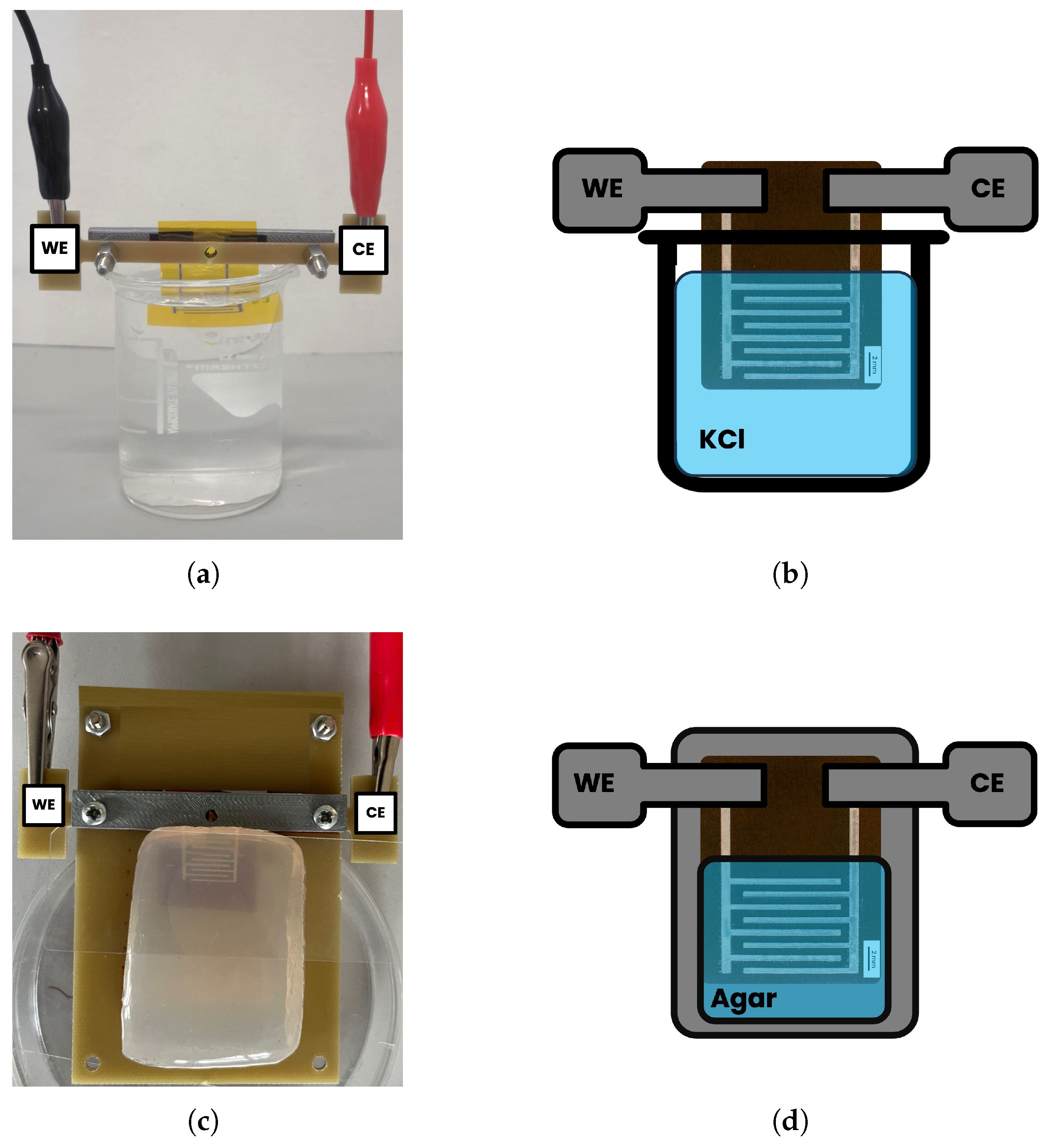 Sensors 25 07081 g002