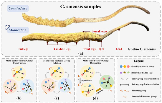 A Progressive Feature Learning Network for Cordyceps sinensis