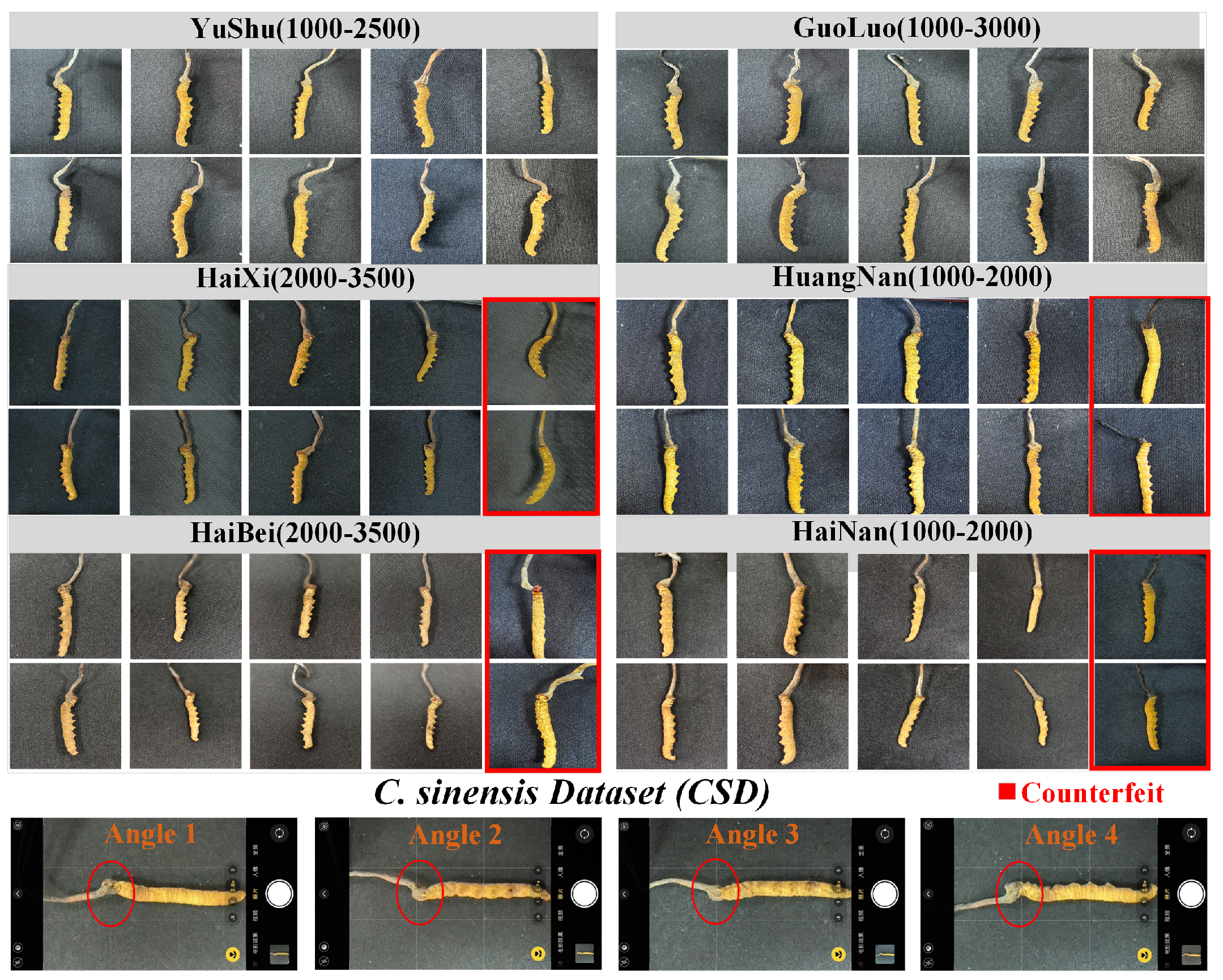Sensors 25 07082 g003