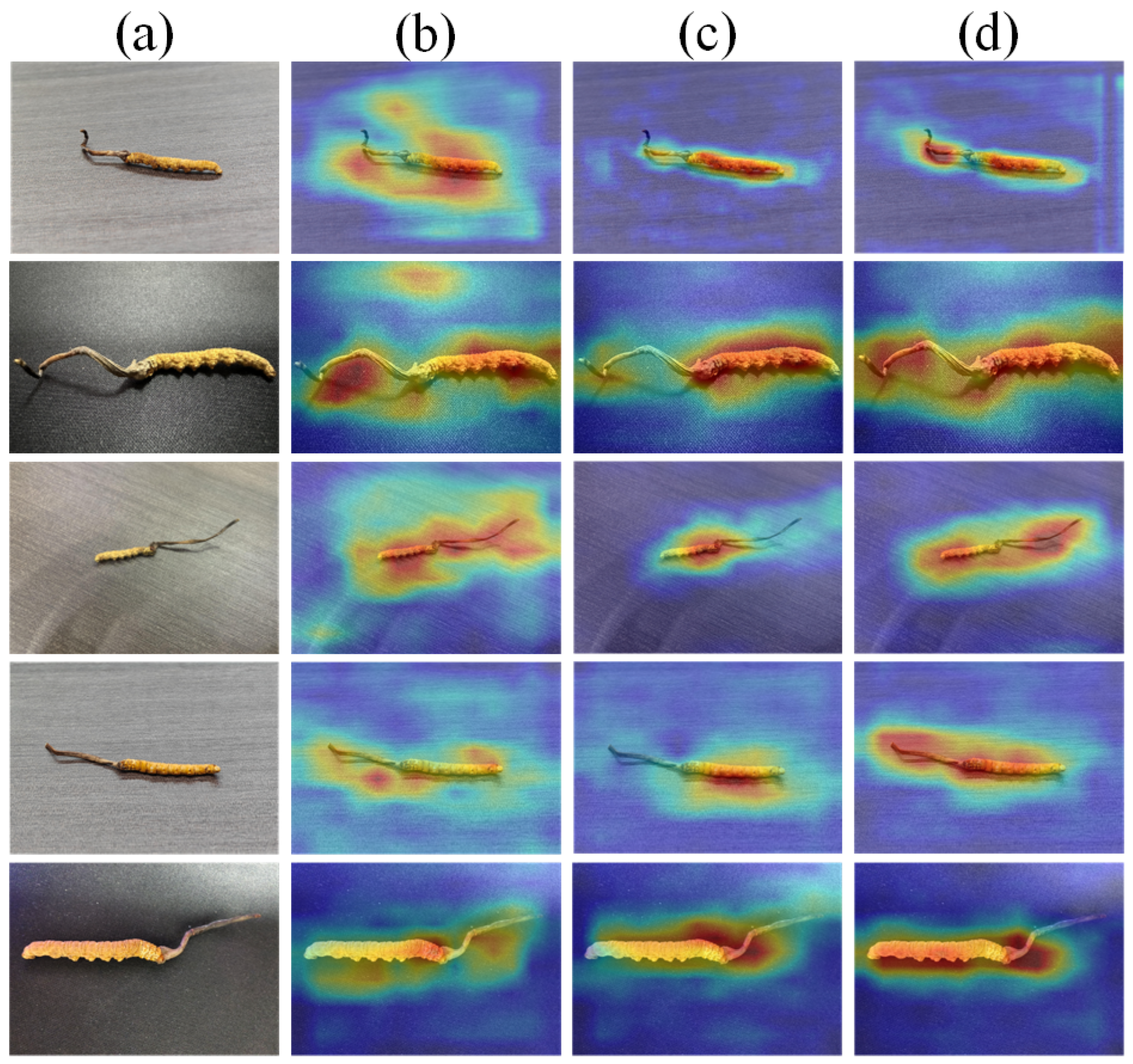 Sensors 25 07082 g004
