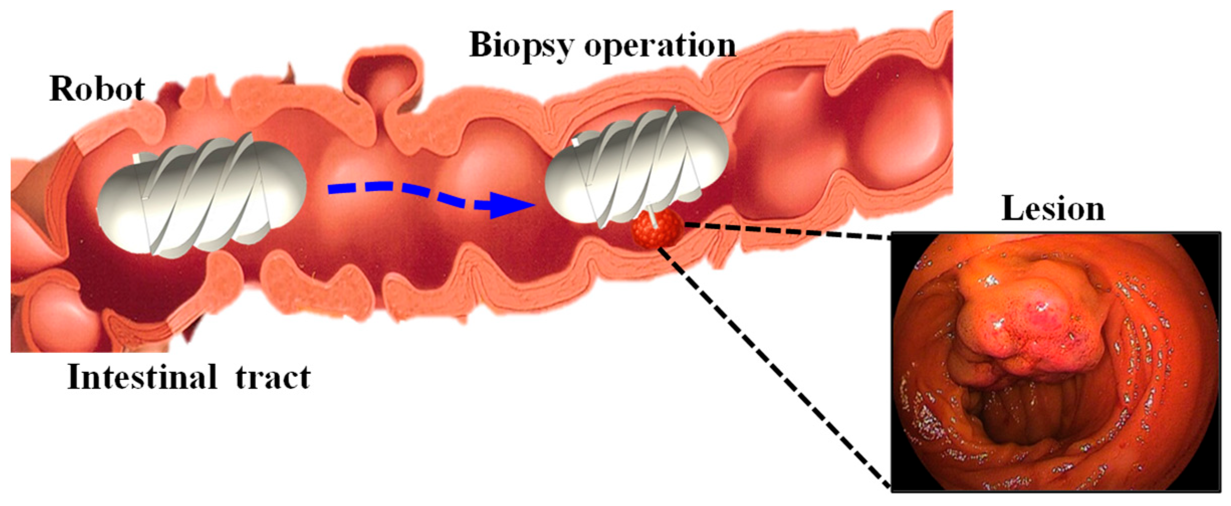 Sensors 25 07158 g001 Sensors 25 07158 g001