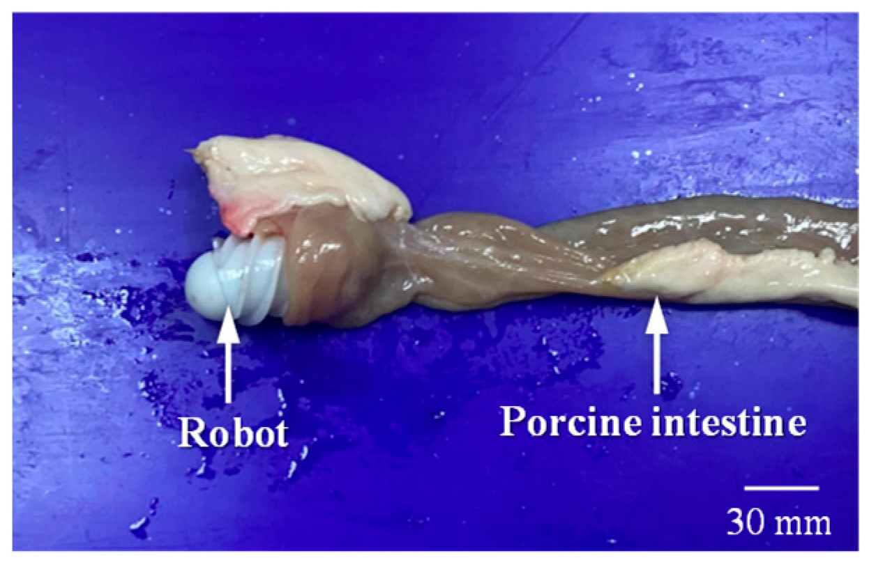 Sensors 25 07158 g016 Sensors 25 07158 g016