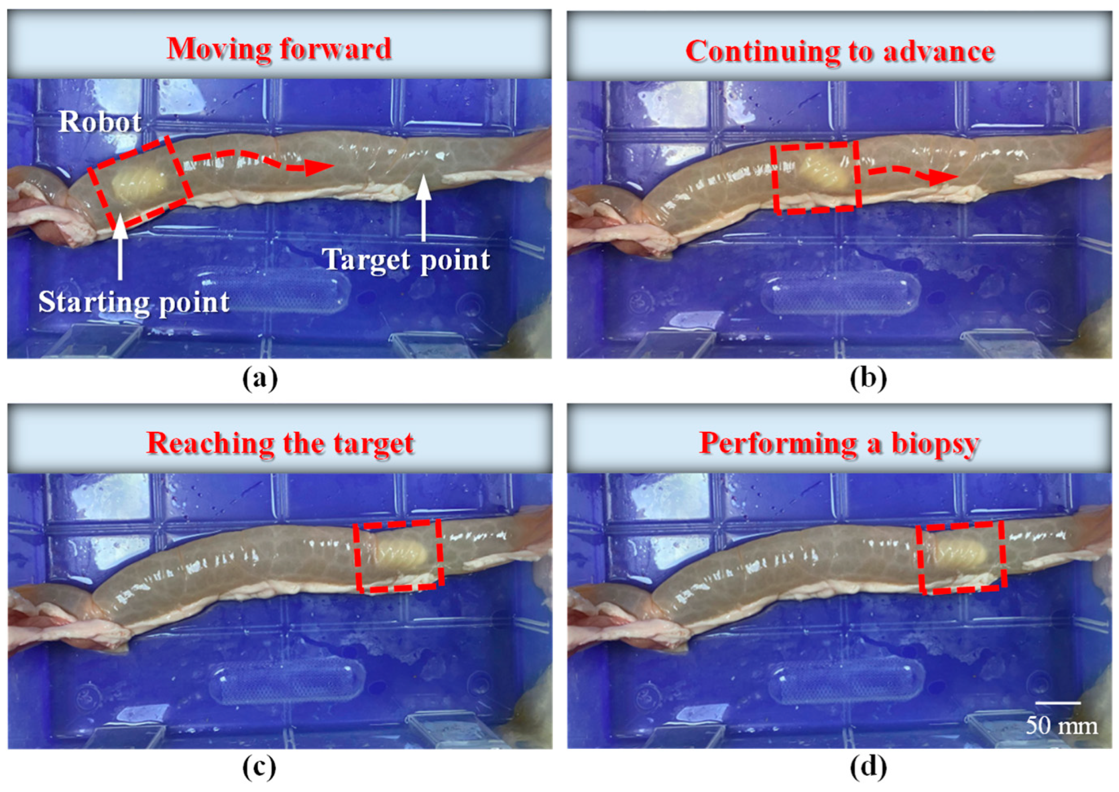 Sensors 25 07158 g017 Sensors 25 07158 g017