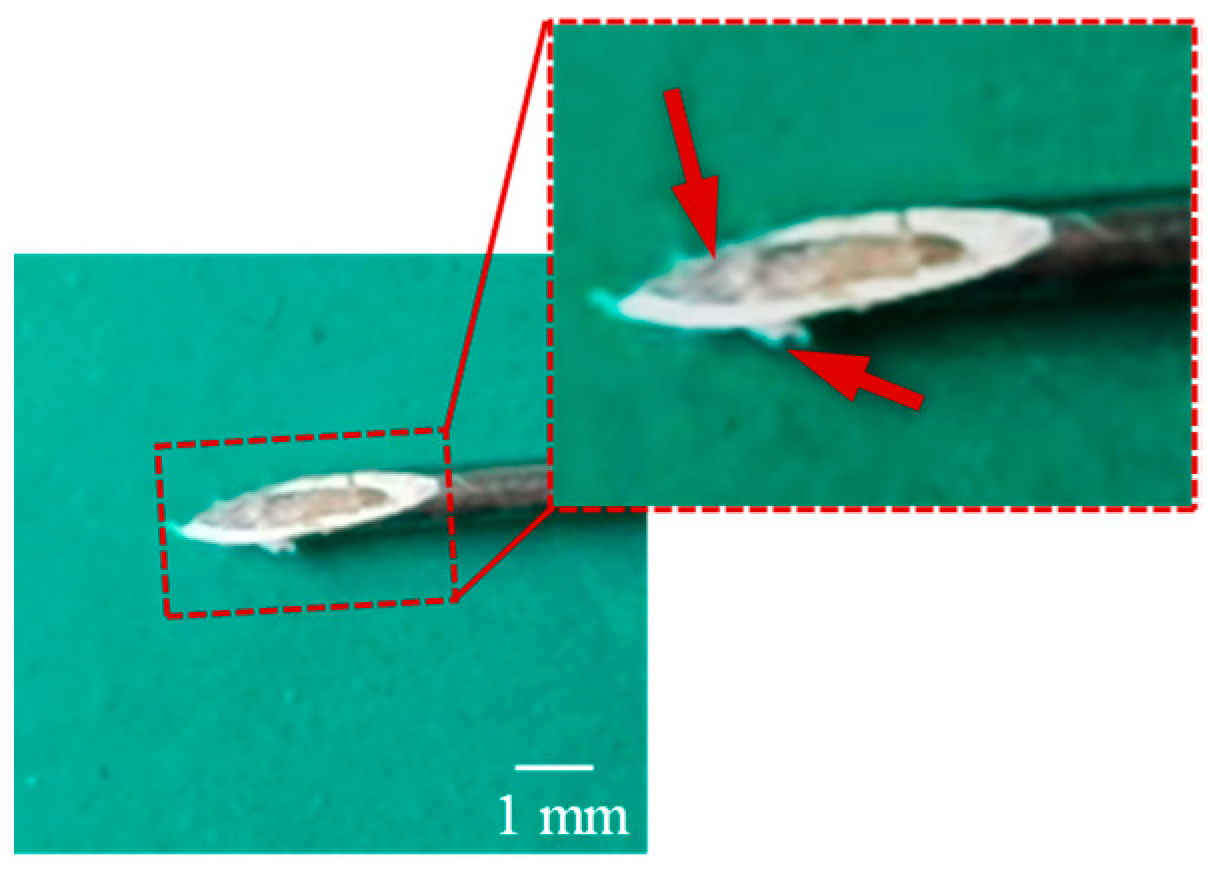 Sensors 25 07158 g018 Sensors 25 07158 g018