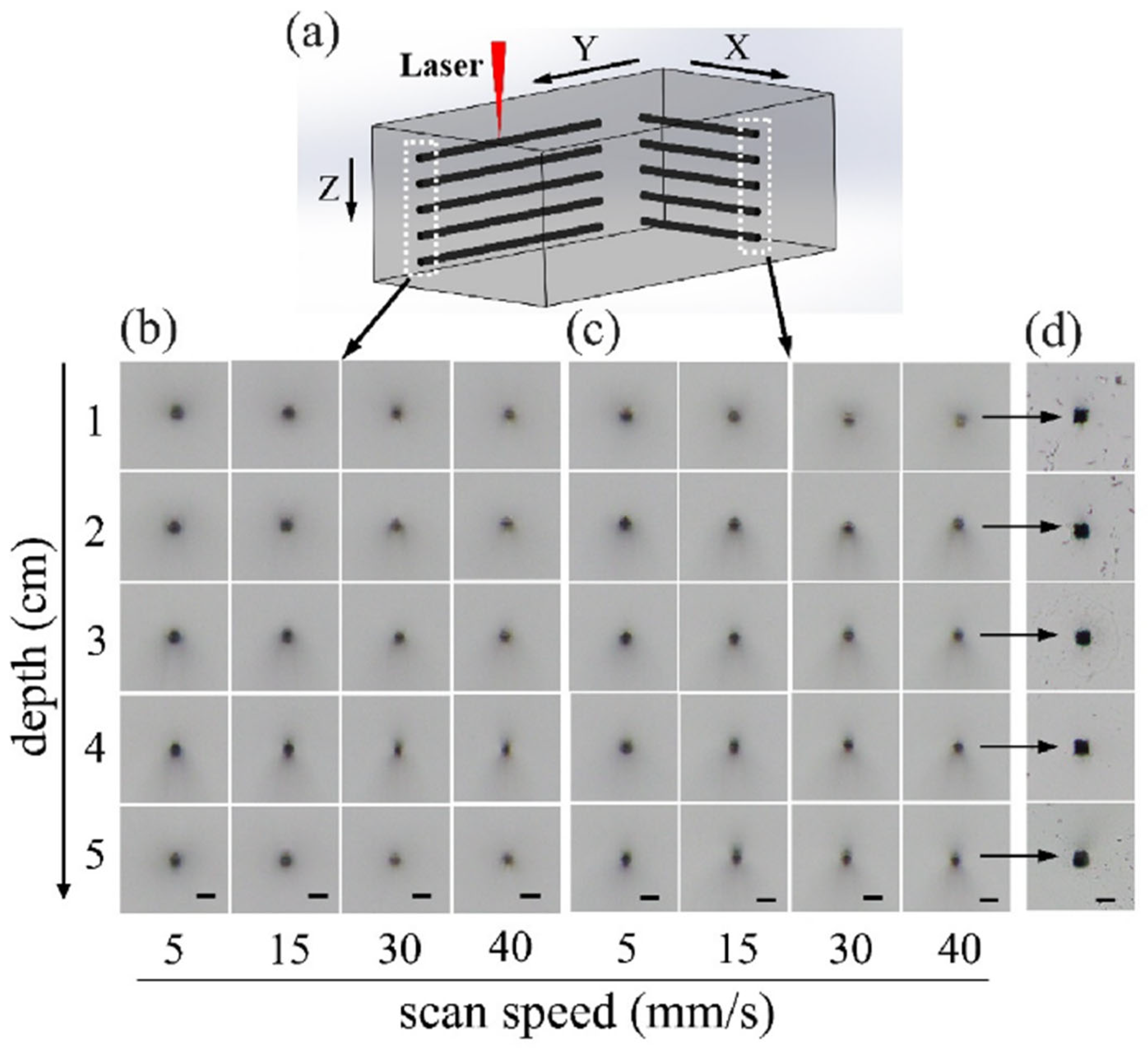 Sensors 25 07159 g002