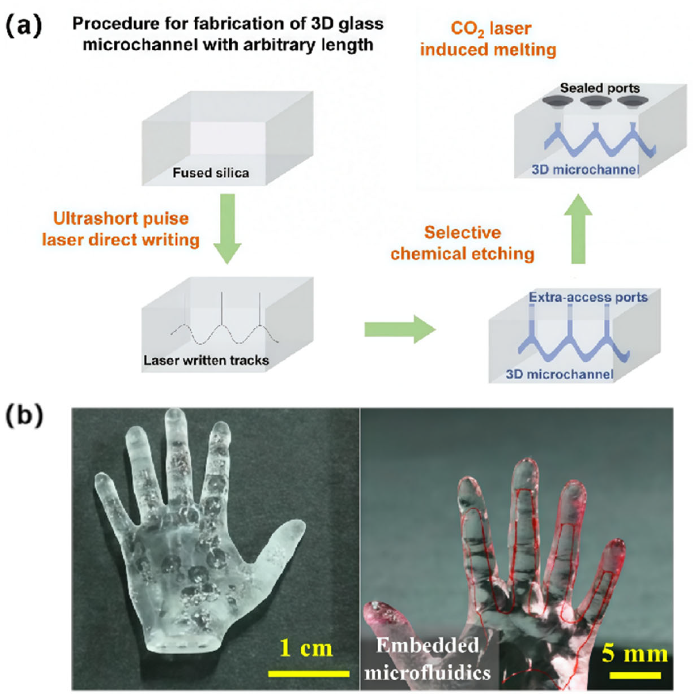 Sensors 25 07159 g004