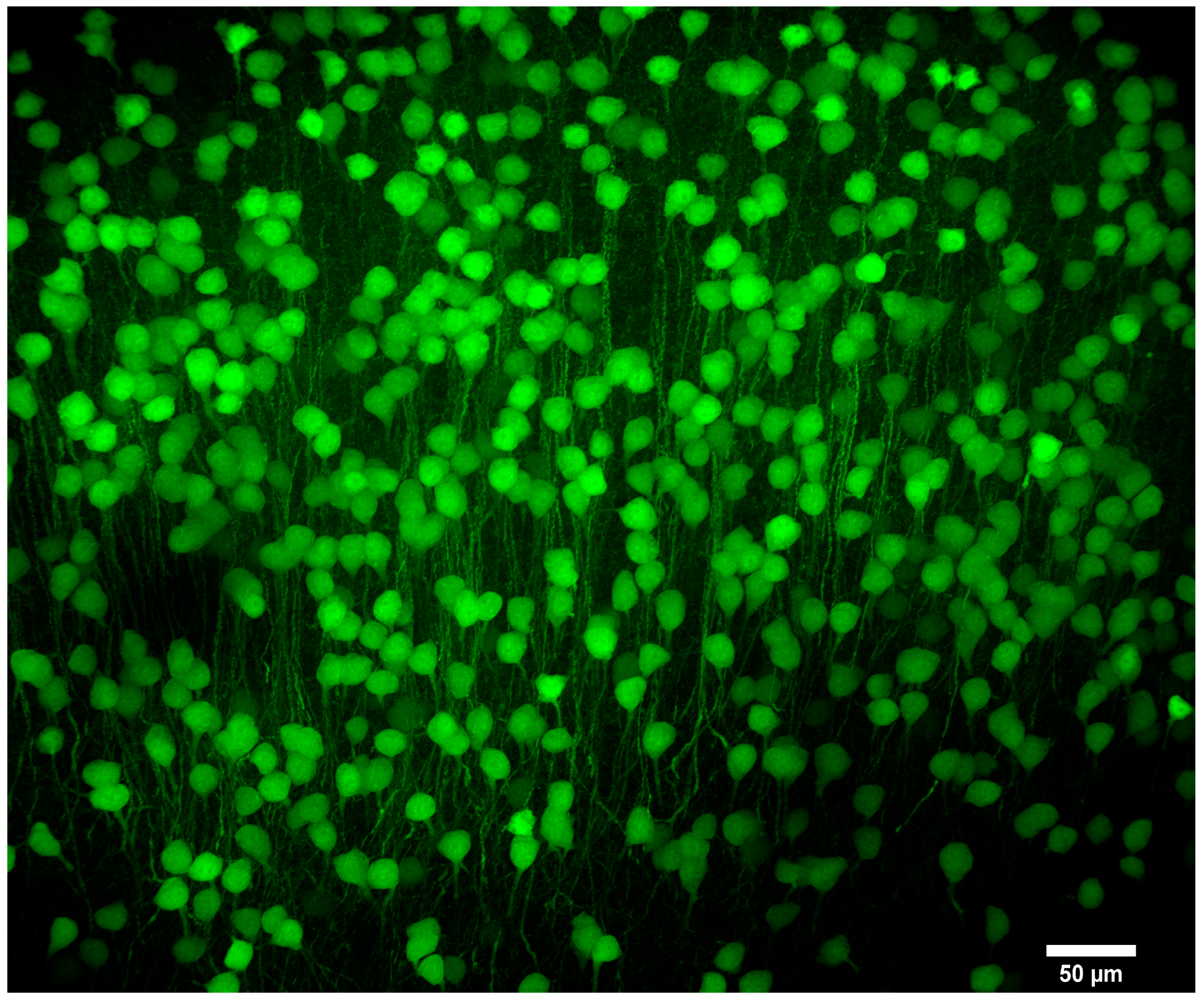 Sensors 25 07183 g006