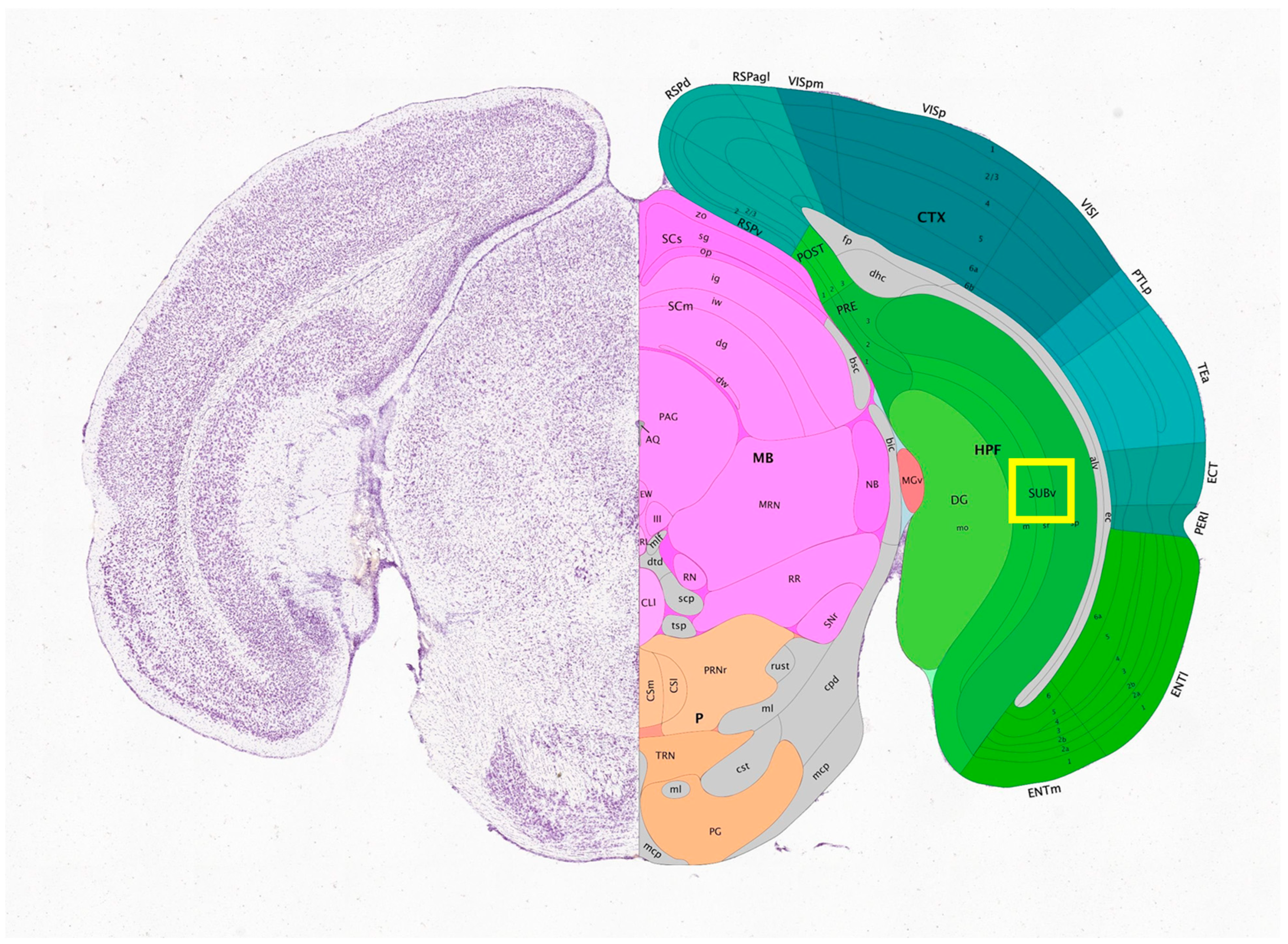 Sensors 25 07183 g007