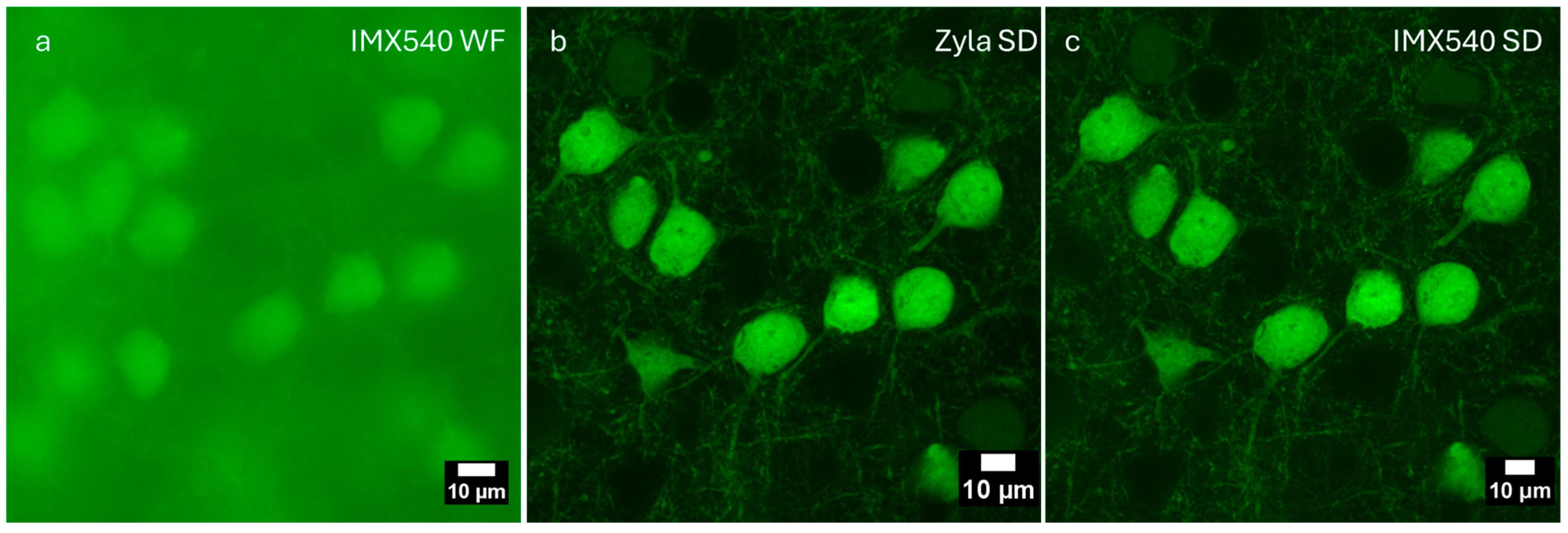Sensors 25 07183 g008