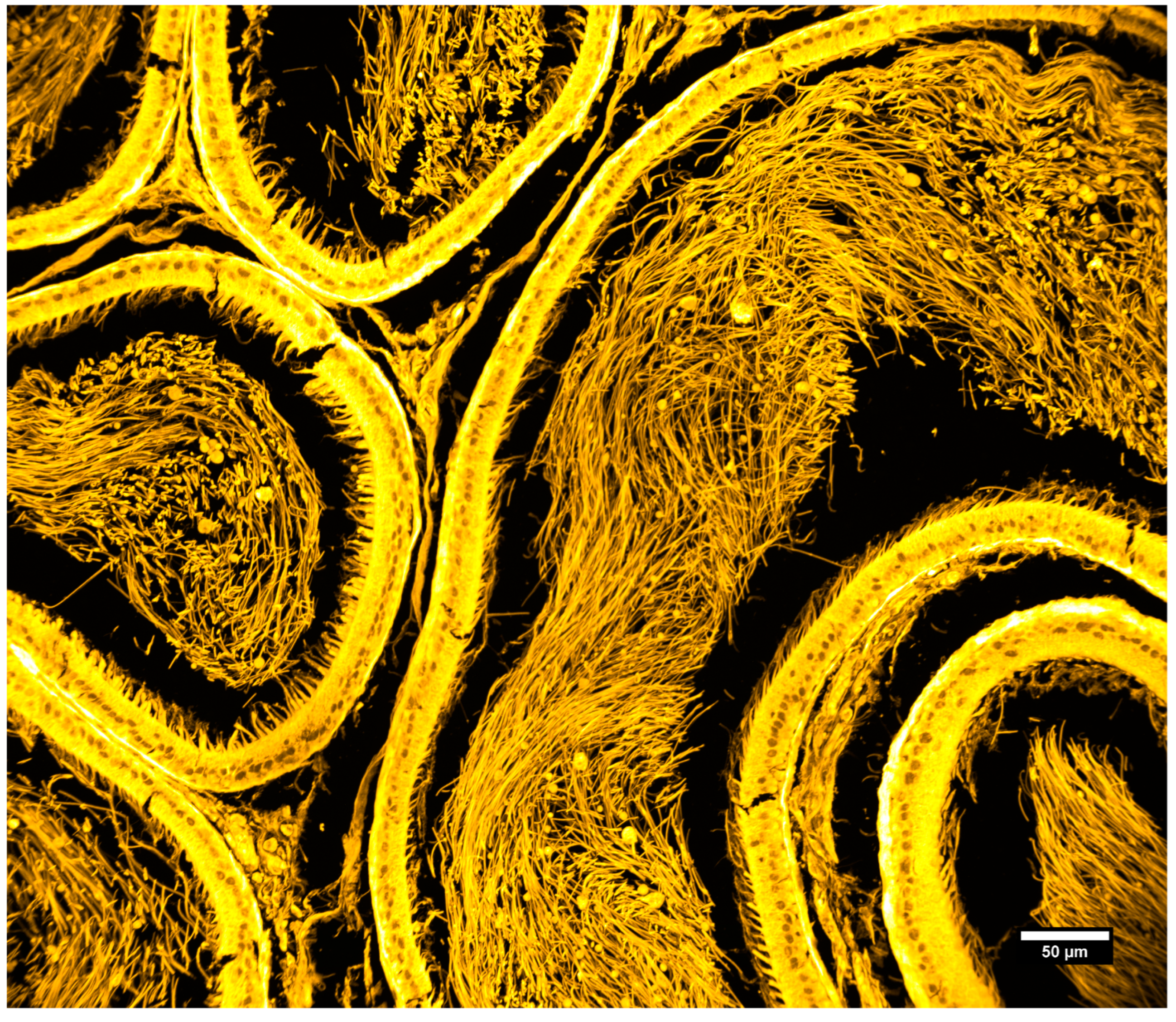 Sensors 25 07183 g010