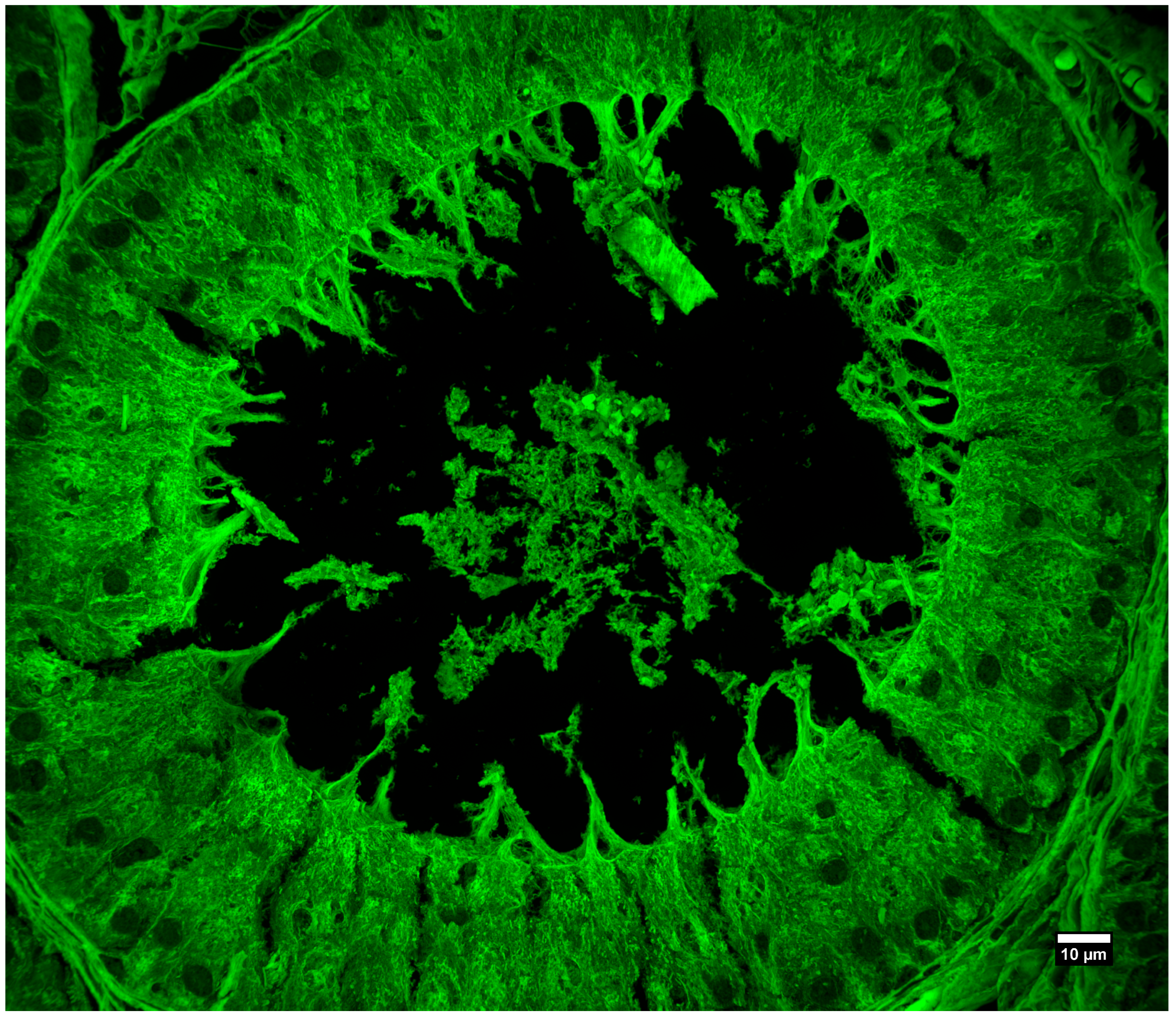 Sensors 25 07183 g011