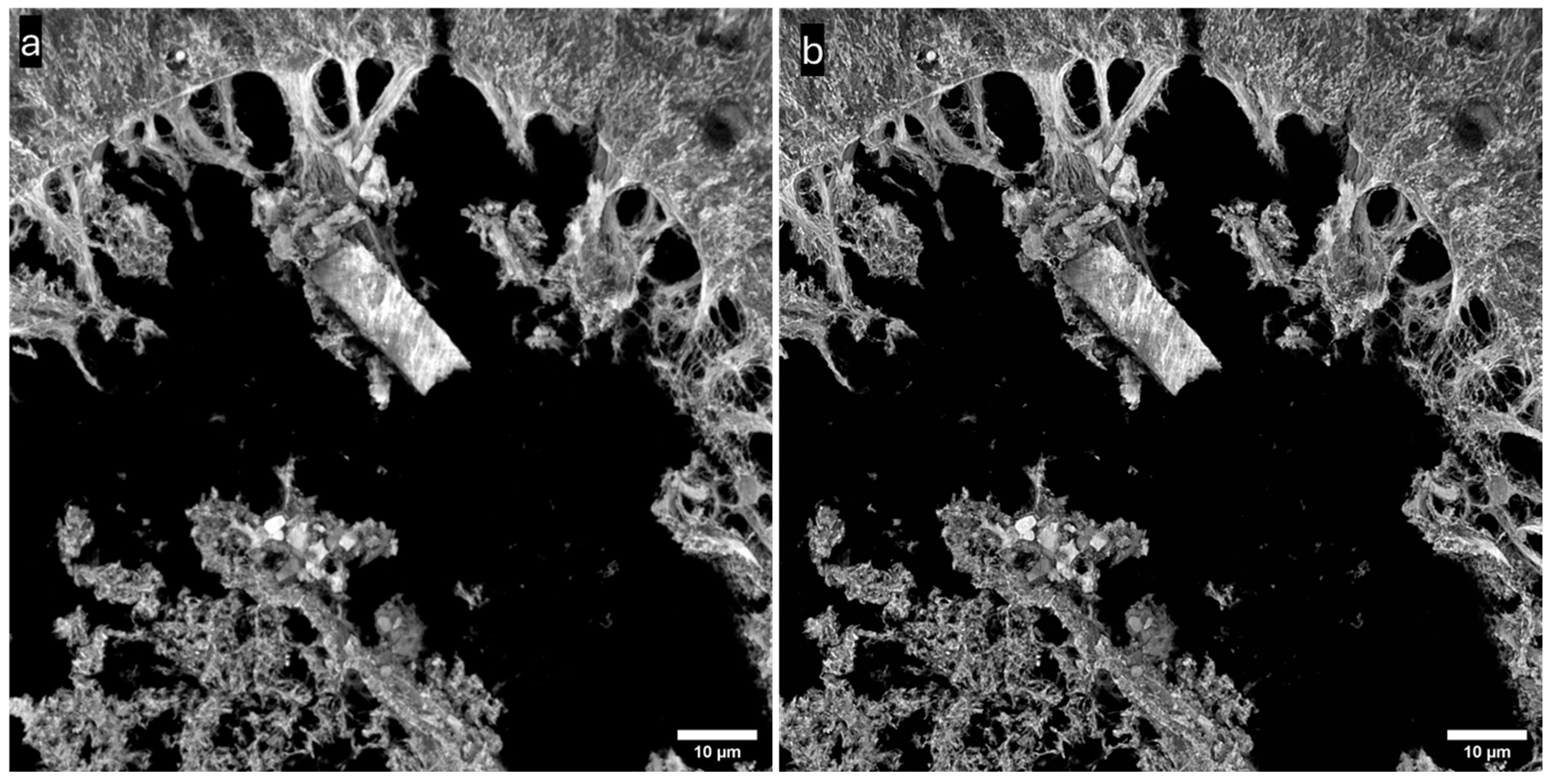 Sensors 25 07183 g012